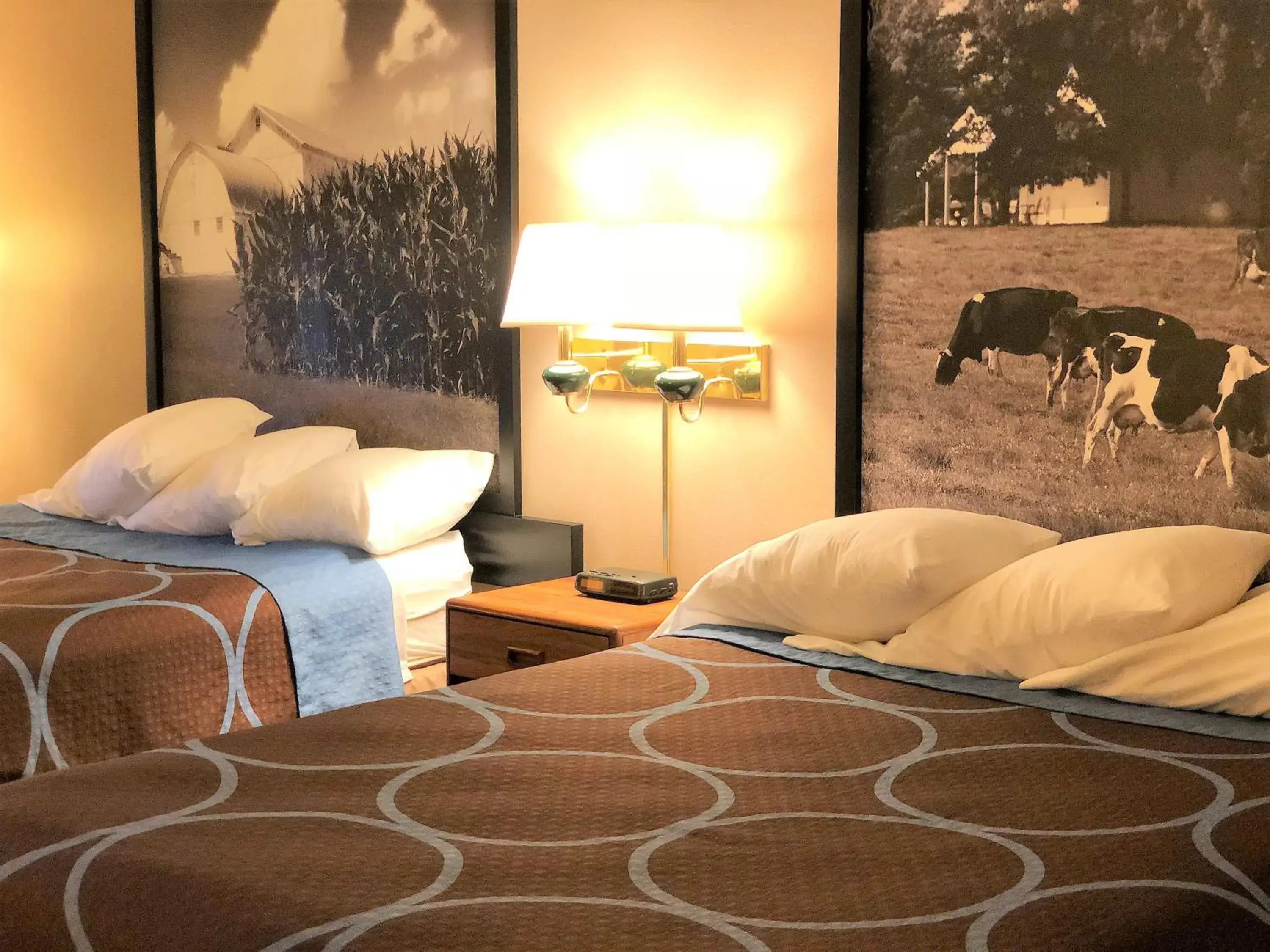 Queen Room with Two Queen Beds - Non-Smoking in Super 8 by Wyndham Dodgeville Queen Room with Two Queen Beds - Non-Smoking in Super 8 by Wyndham Dodgeville