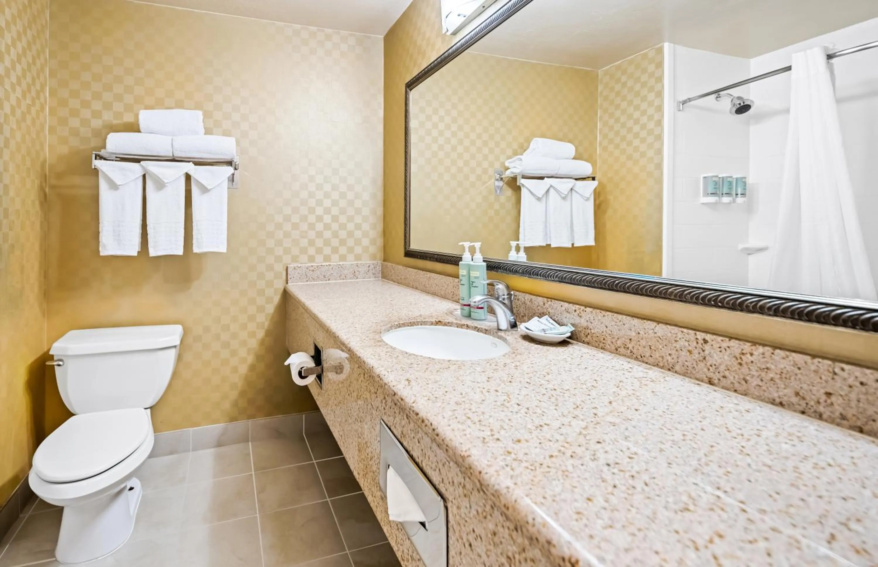 Bathroom in Best Western De Anza Inn