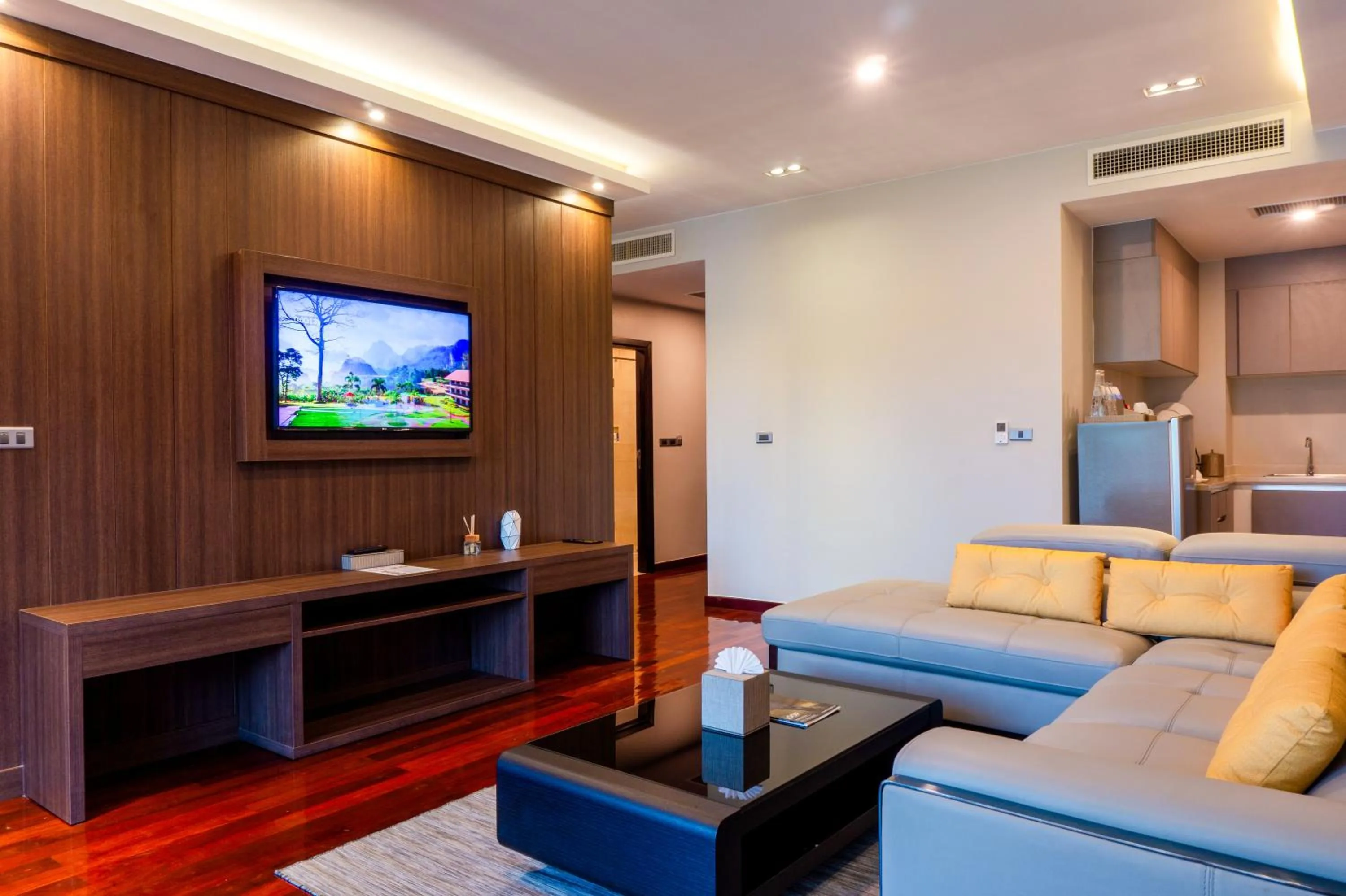 TV and multimedia in Tmark Resort Vangvieng