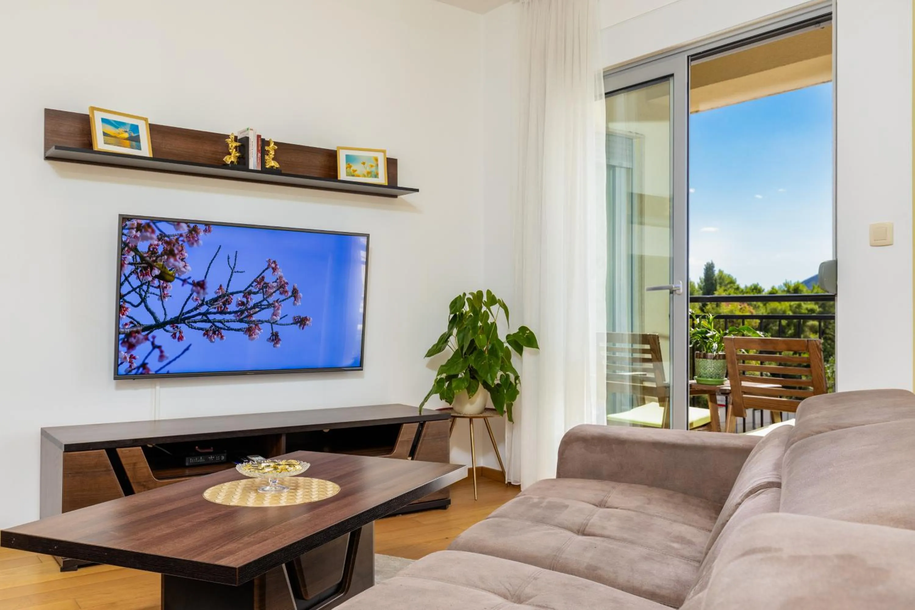 TV and multimedia in Apart hotel M S KATUNJANIN