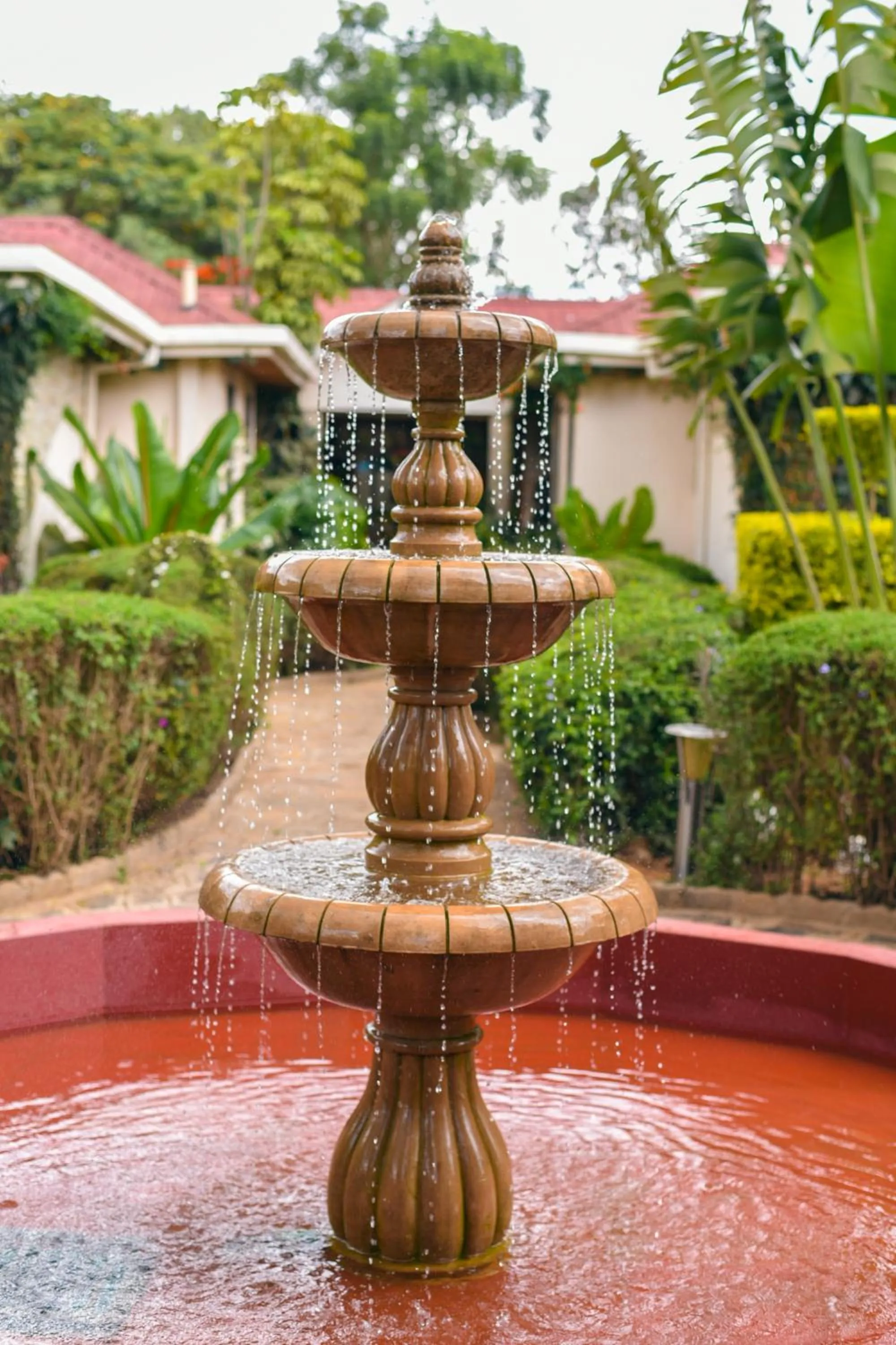 Area and facilities in Falcon Heights Hotel