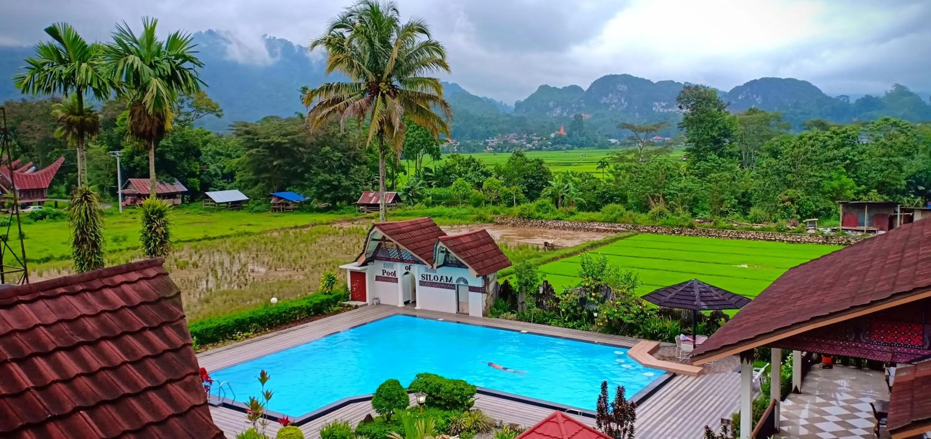 Swimming pool in Toraja Torsina Hotel