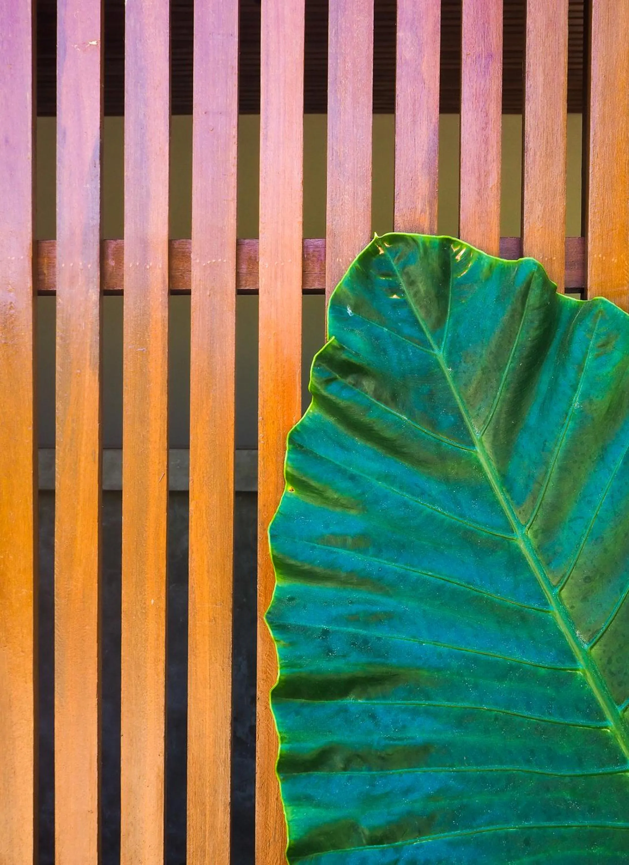 Decorative detail in Suku Lifestyle Hotel & Villas