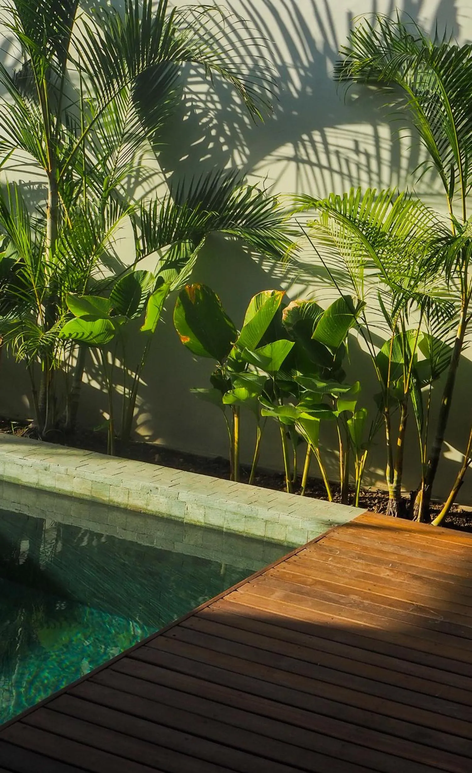 Garden in Suku Lifestyle Hotel & Villas