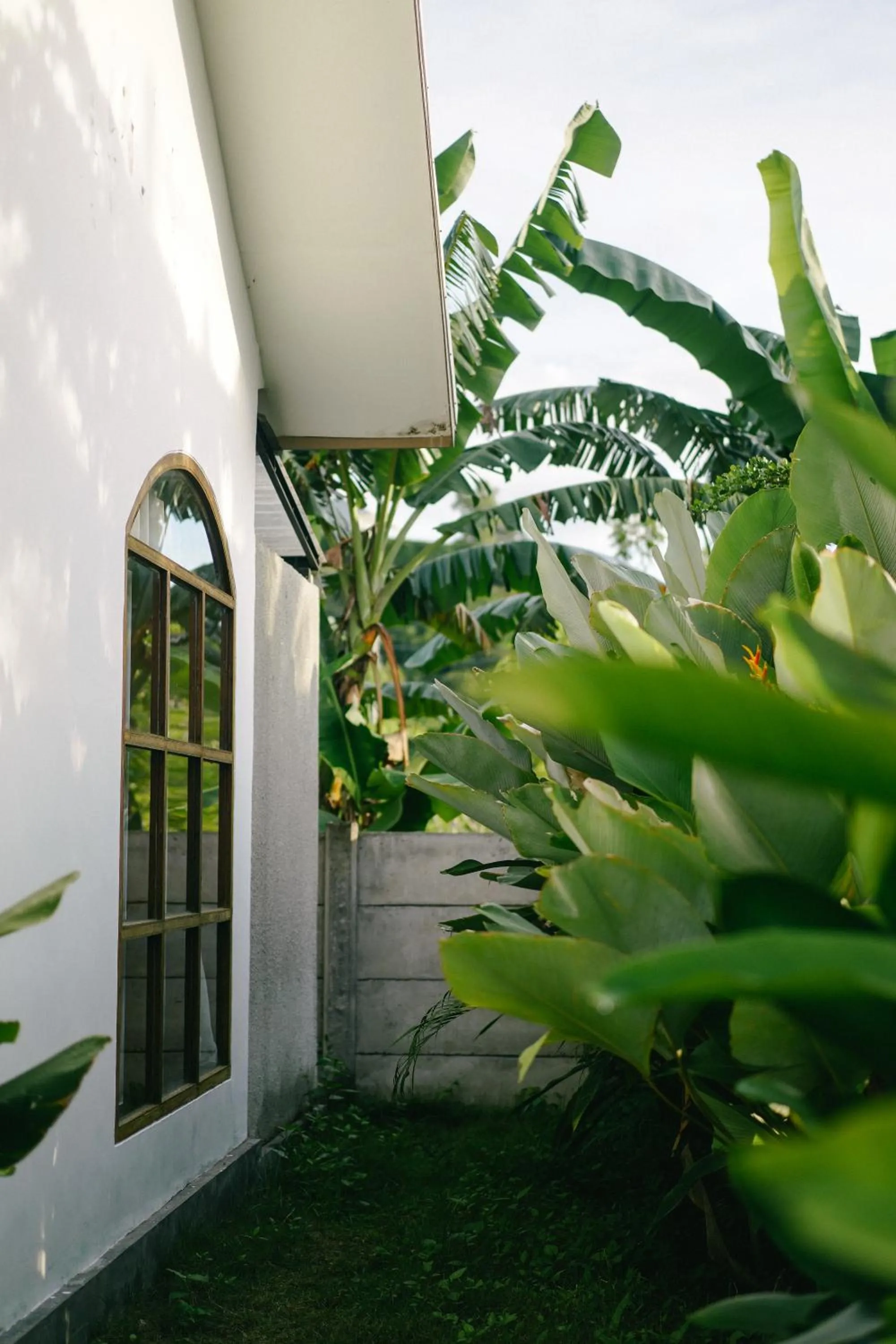 Garden in Suku Lifestyle Hotel & Villas