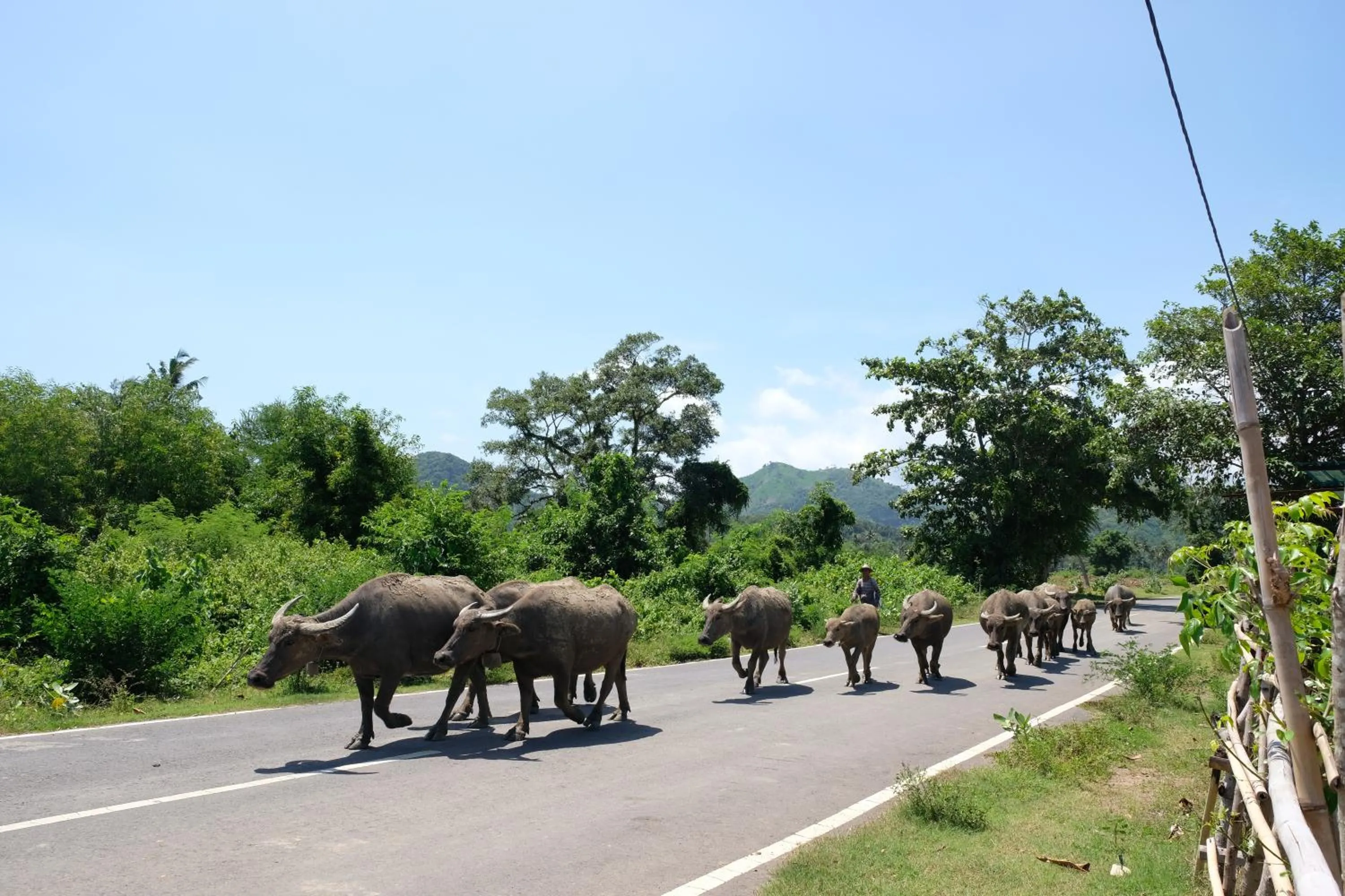 Natural landscape in Suku Lifestyle Hotel & Villas