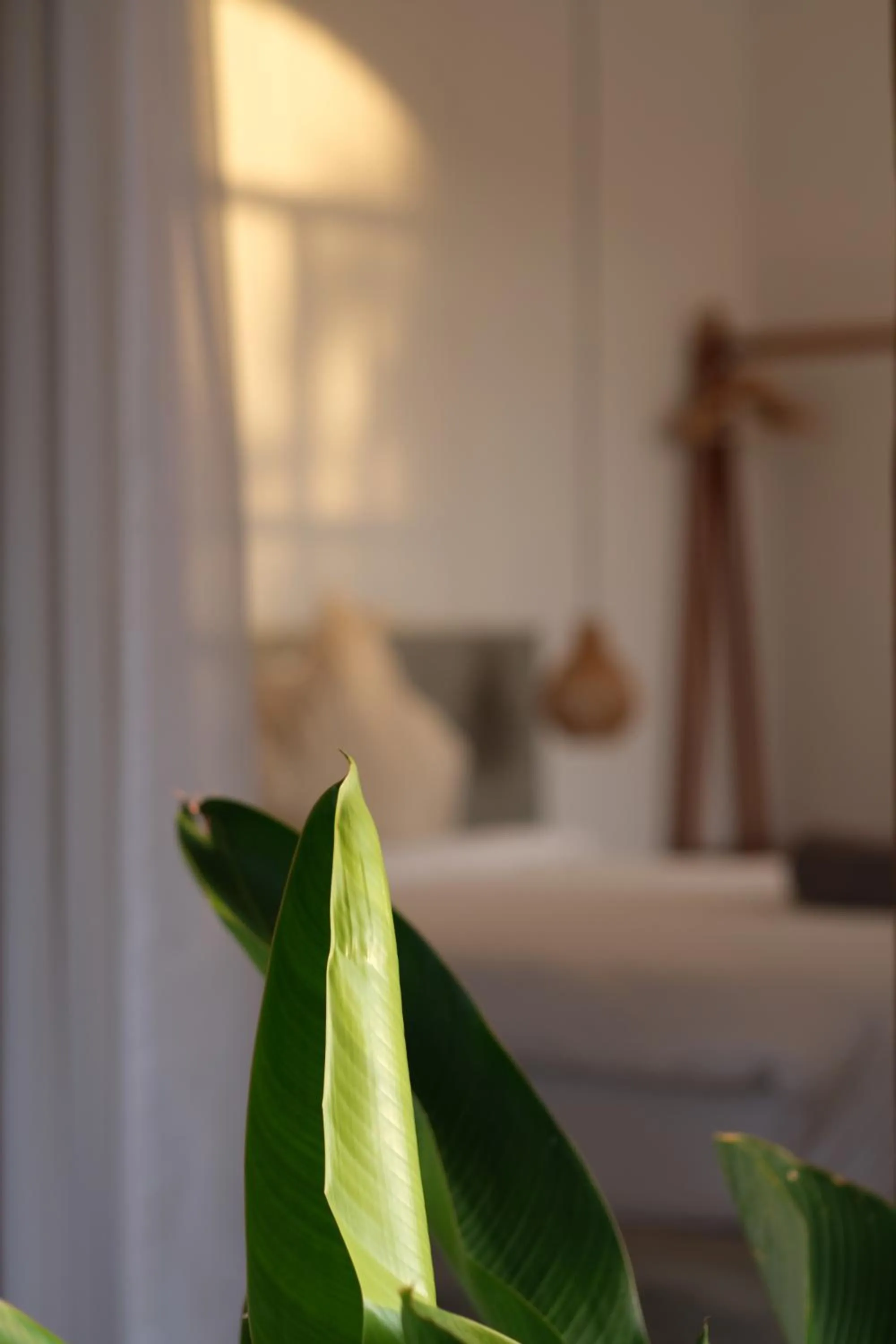 Decorative detail, Bed in Suku Lifestyle Hotel & Villas