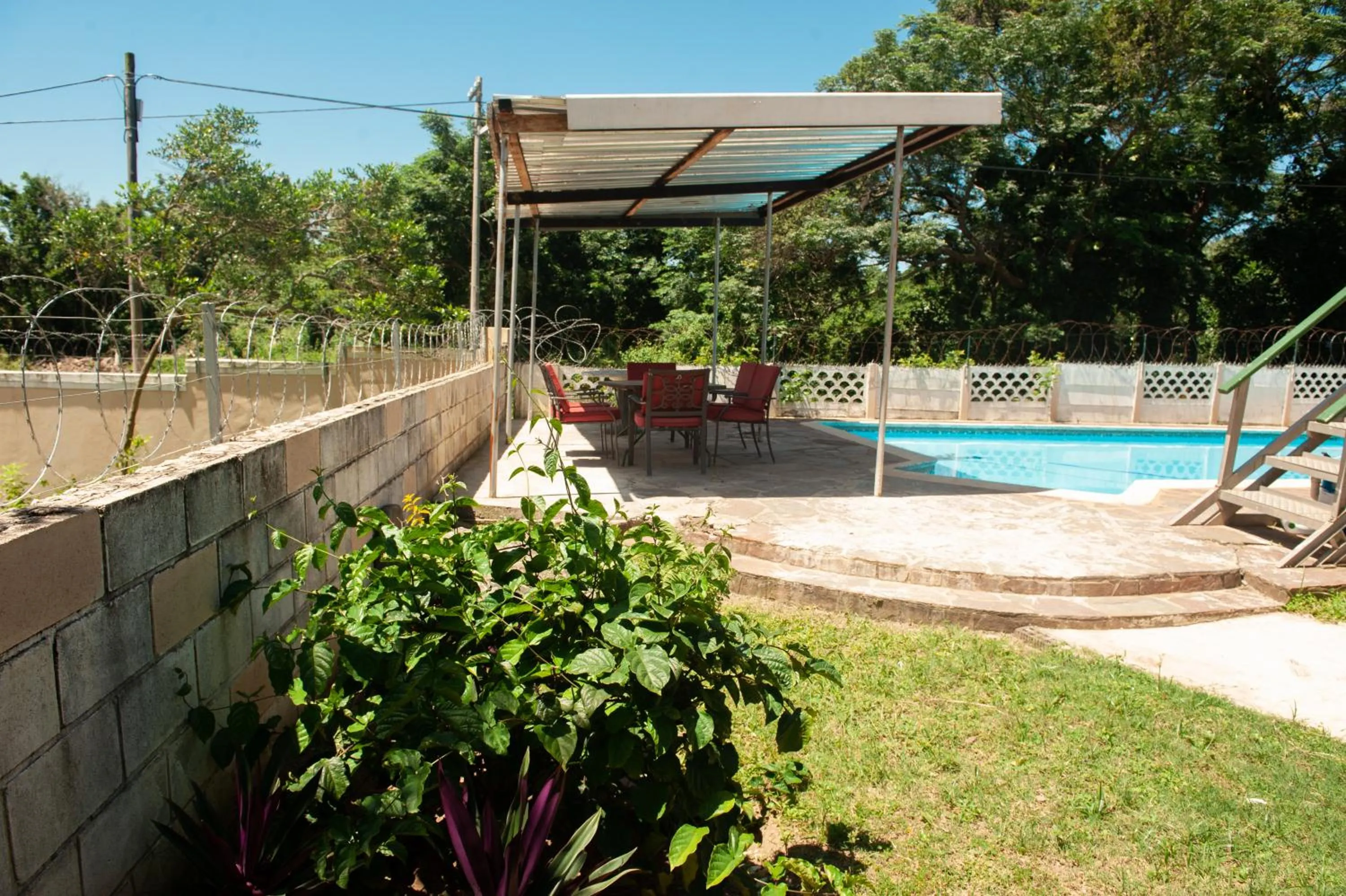 Garden view in Nkosazana Guest House