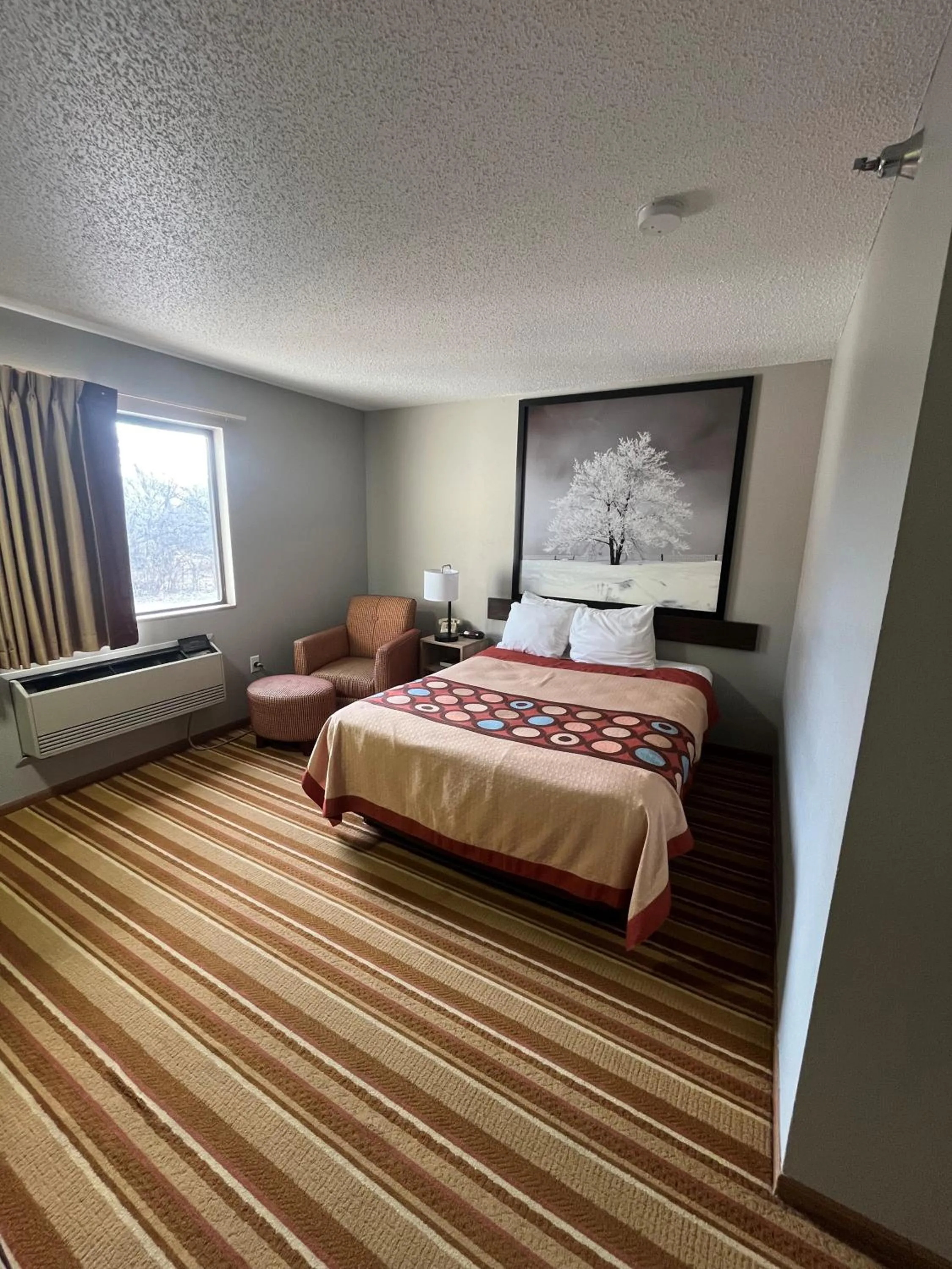 Bedroom, Bed in Super 8 by Wyndham Blair