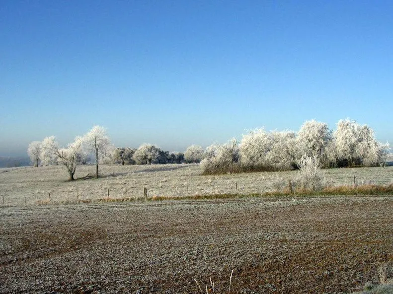 Property building in 4 Collines