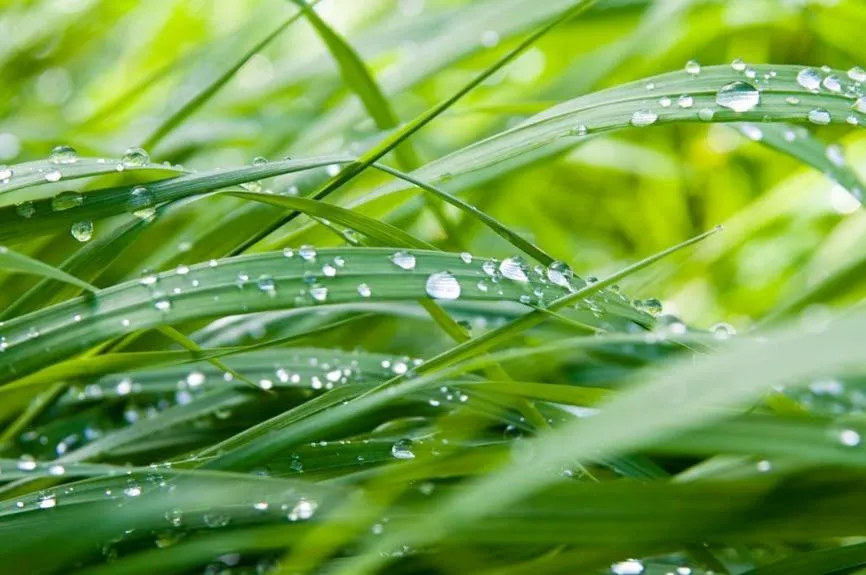 Property building in 4 Collines