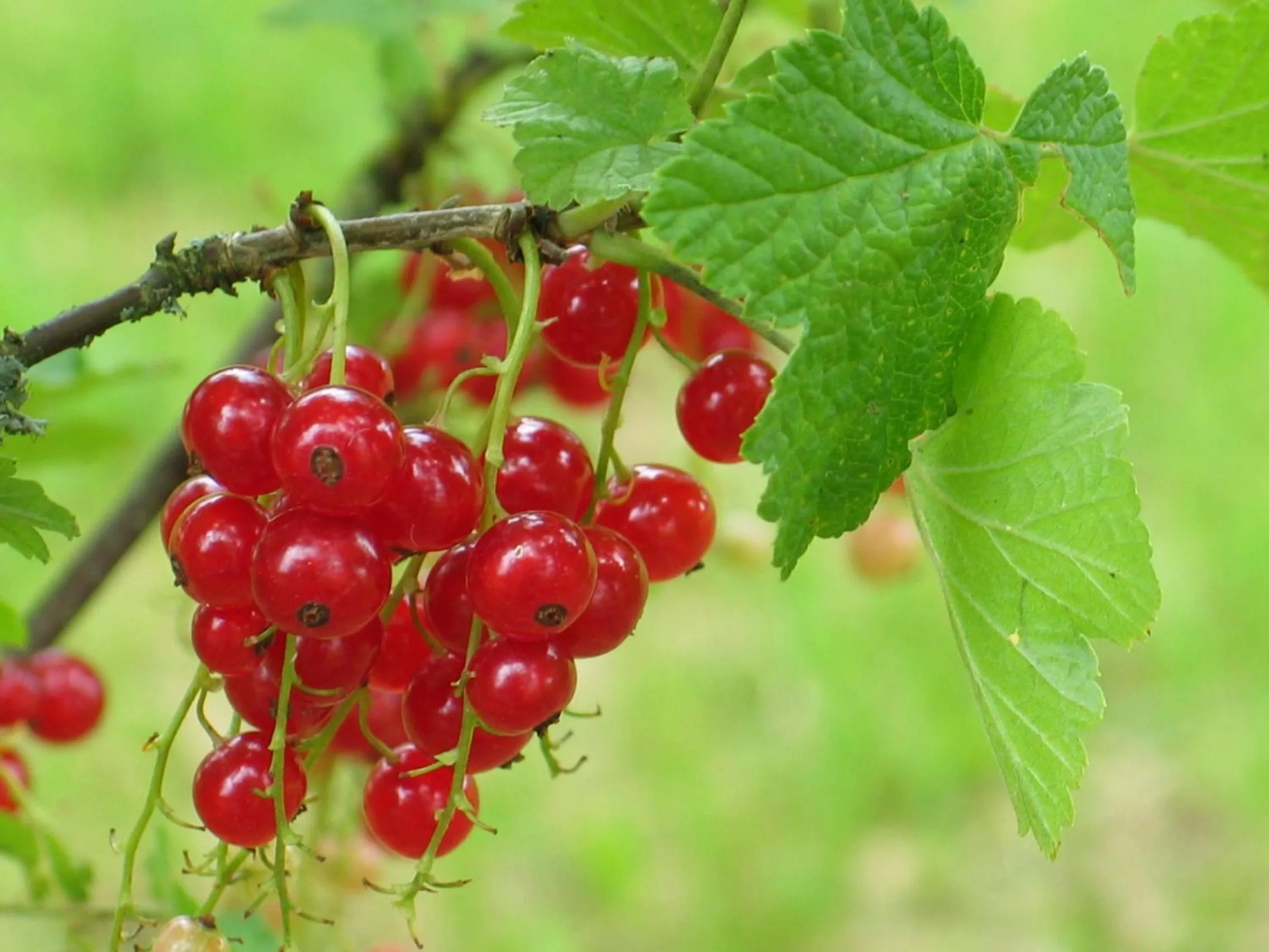 Property building in 4 Collines