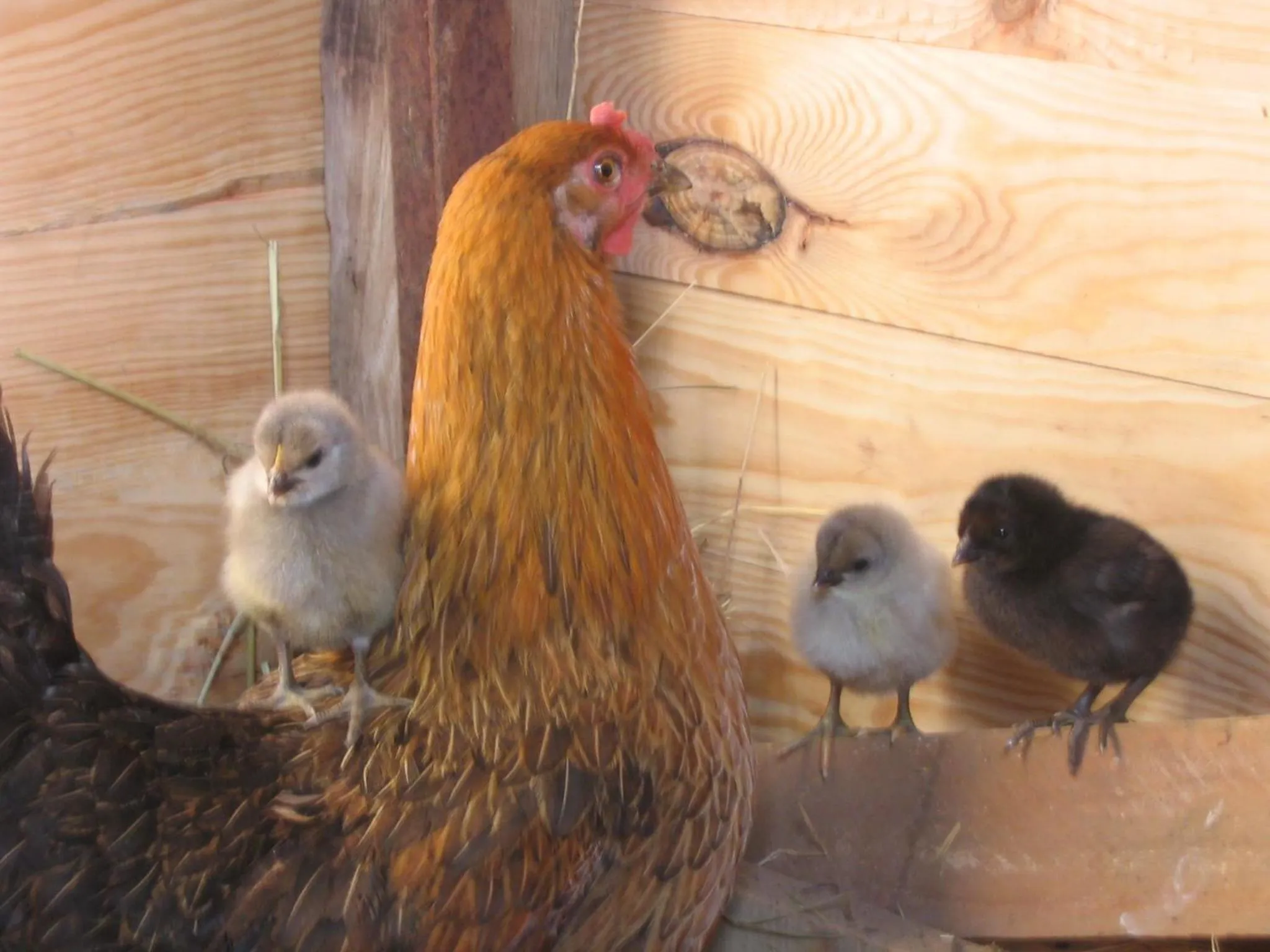 Property building in 4 Collines