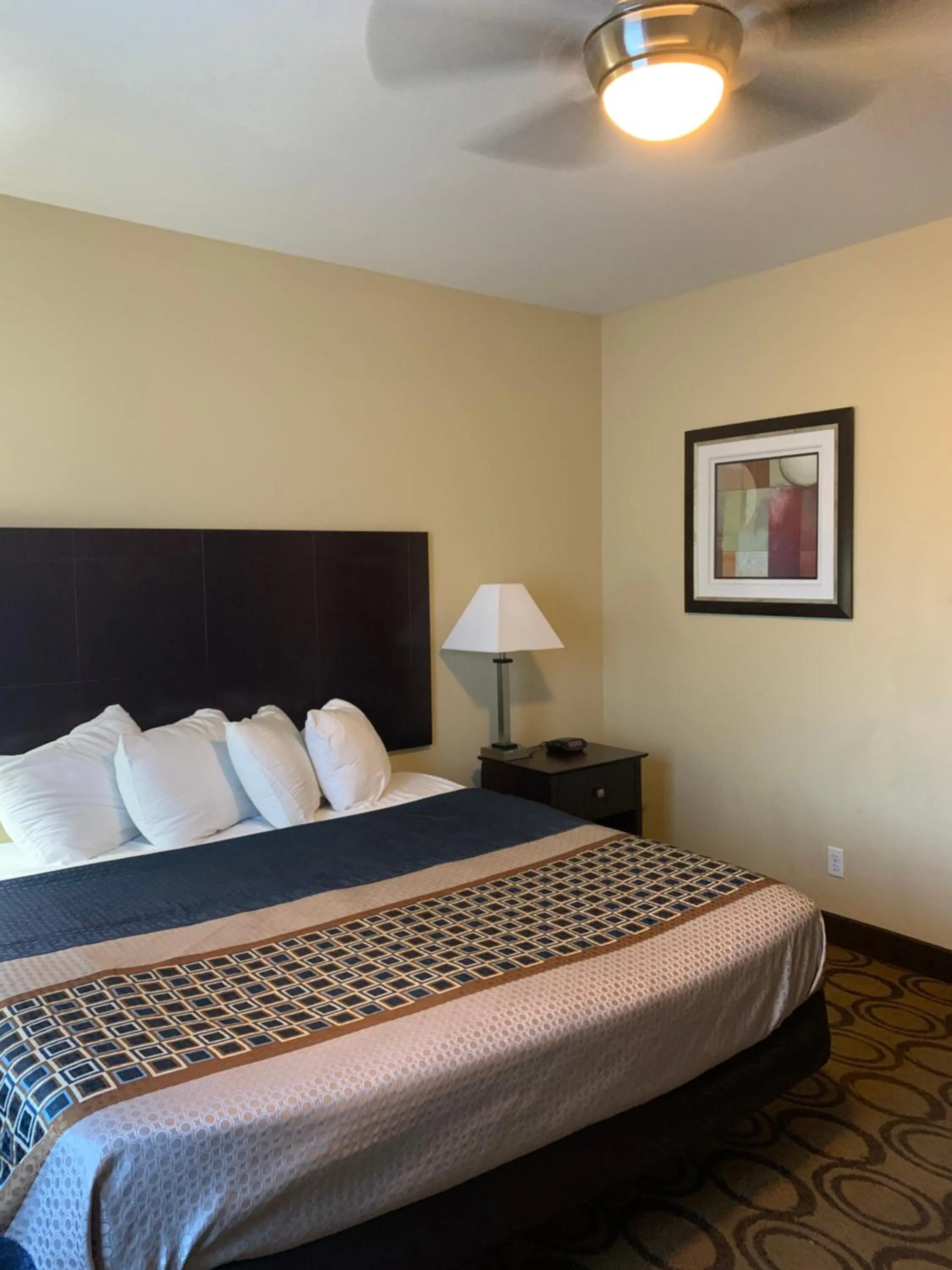Bed in Rodeway Inn & Suites Winnfield
