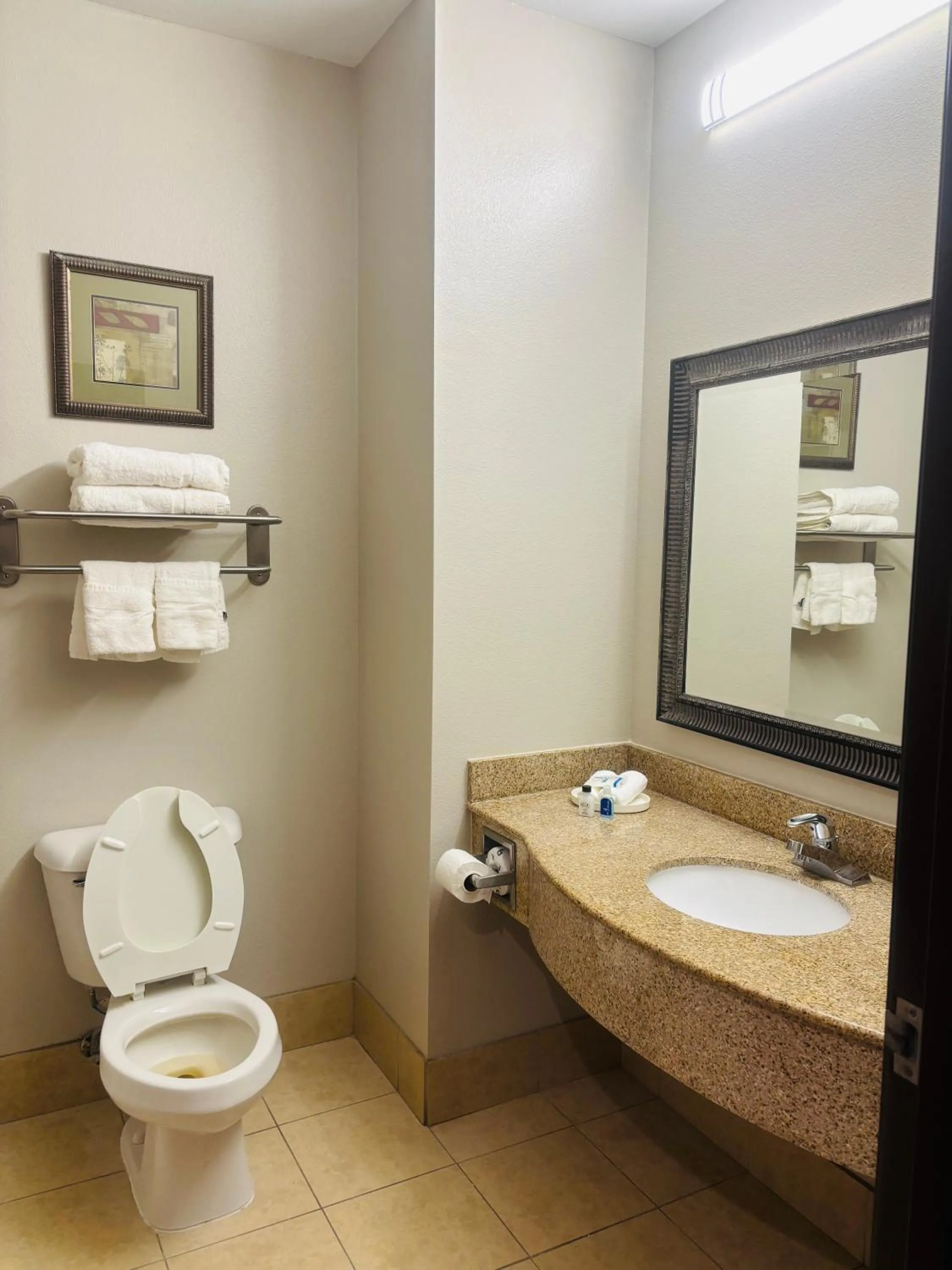 Bathroom in Rodeway Inn & Suites Winnfield
