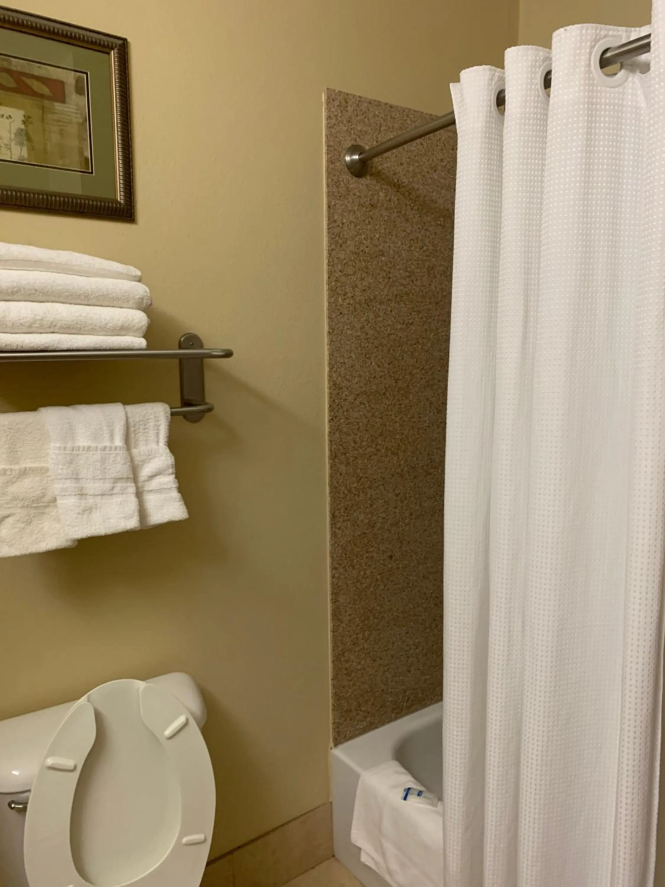 Bathroom in Rodeway Inn & Suites Winnfield