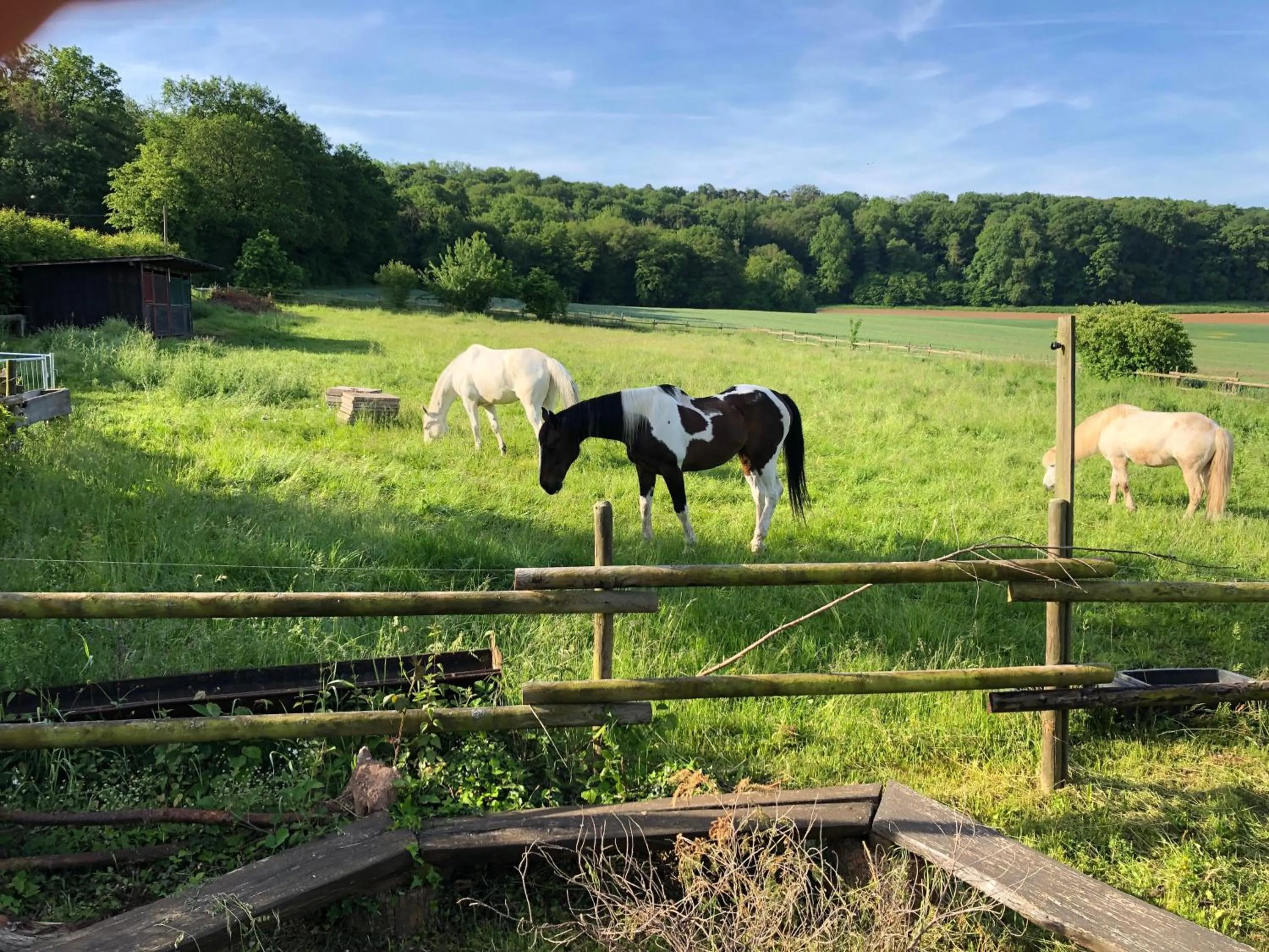 Property building in Landhaus vor Burg Eltz