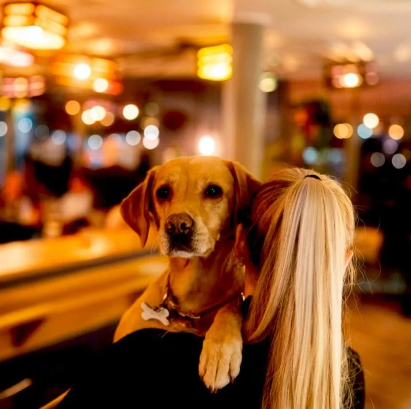 Restaurant/places to eat in Bike & Boot Inns Scarborough - Leisure Hotels for Now