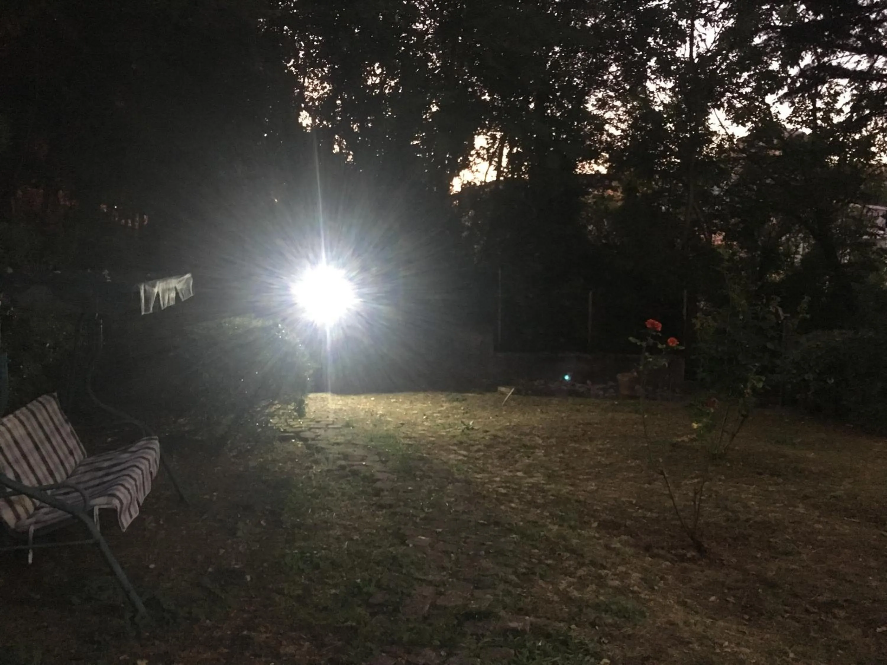 Garden in Villa GiaDa b&b