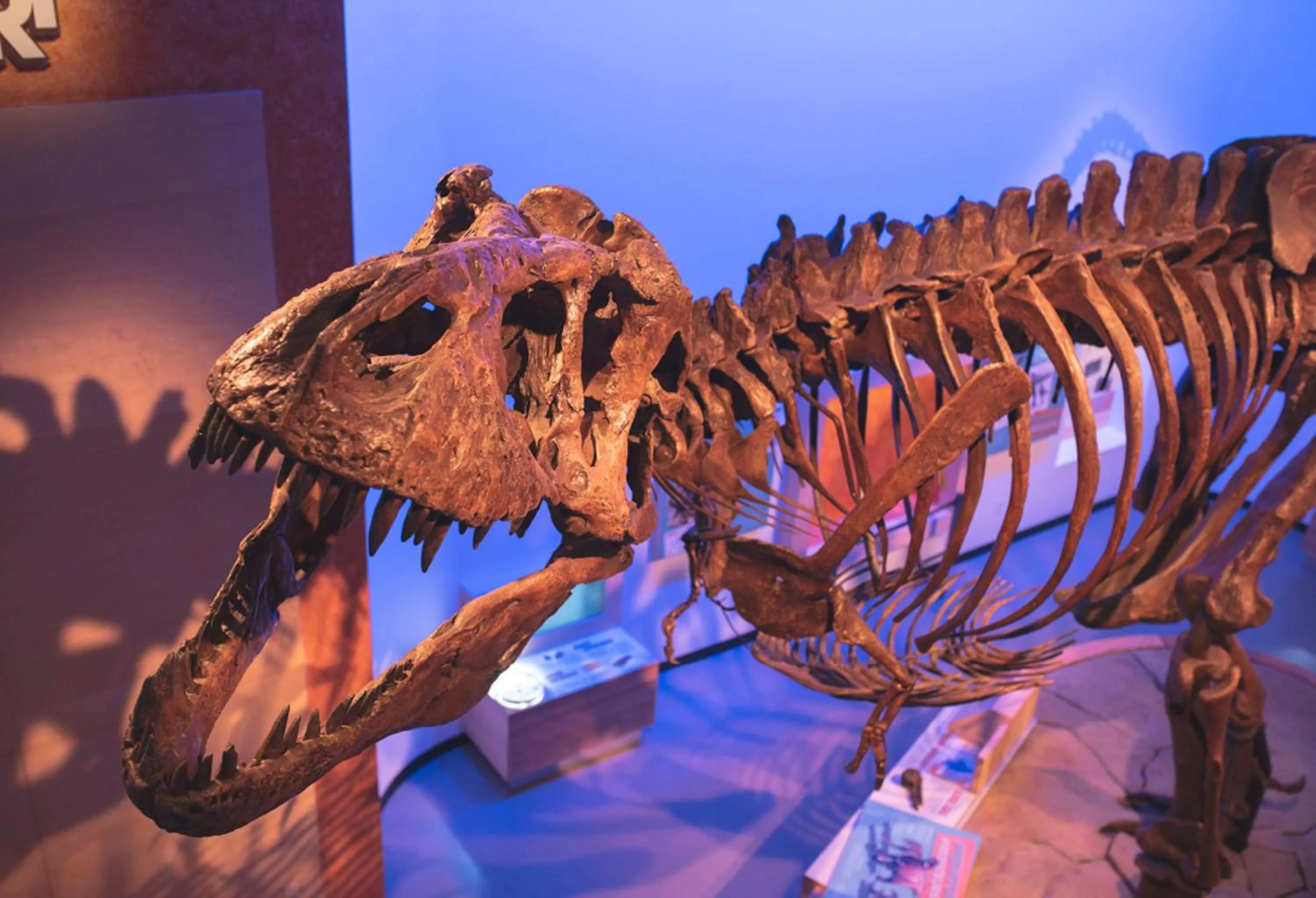 Nearby landmark in Holiday Inn Express & Suites-Regina-South by IHG