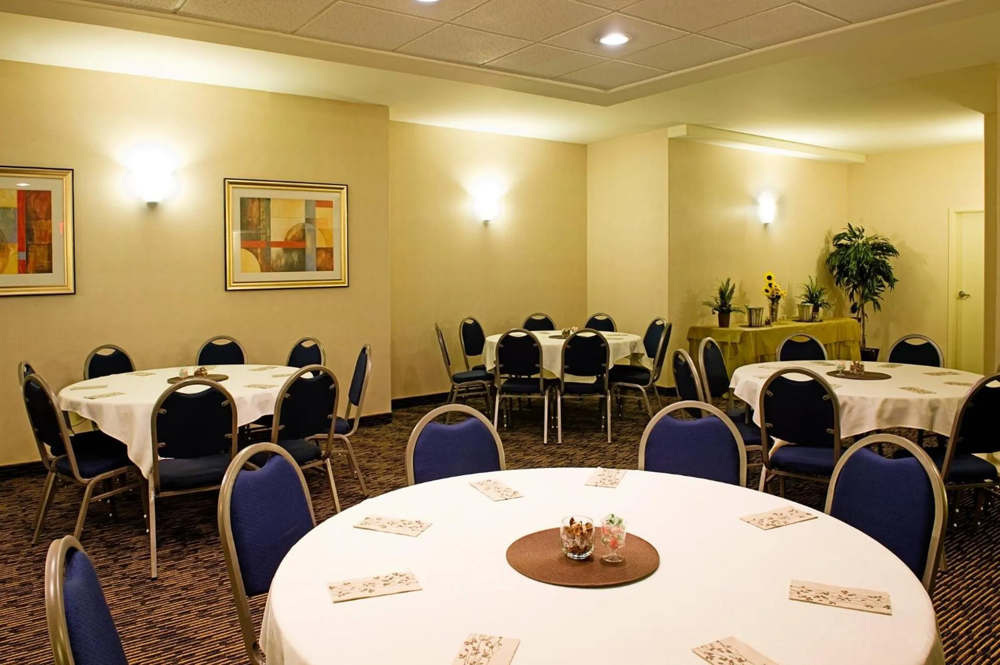 Meeting/conference room in Holiday Inn Express & Suites-Regina-South by IHG