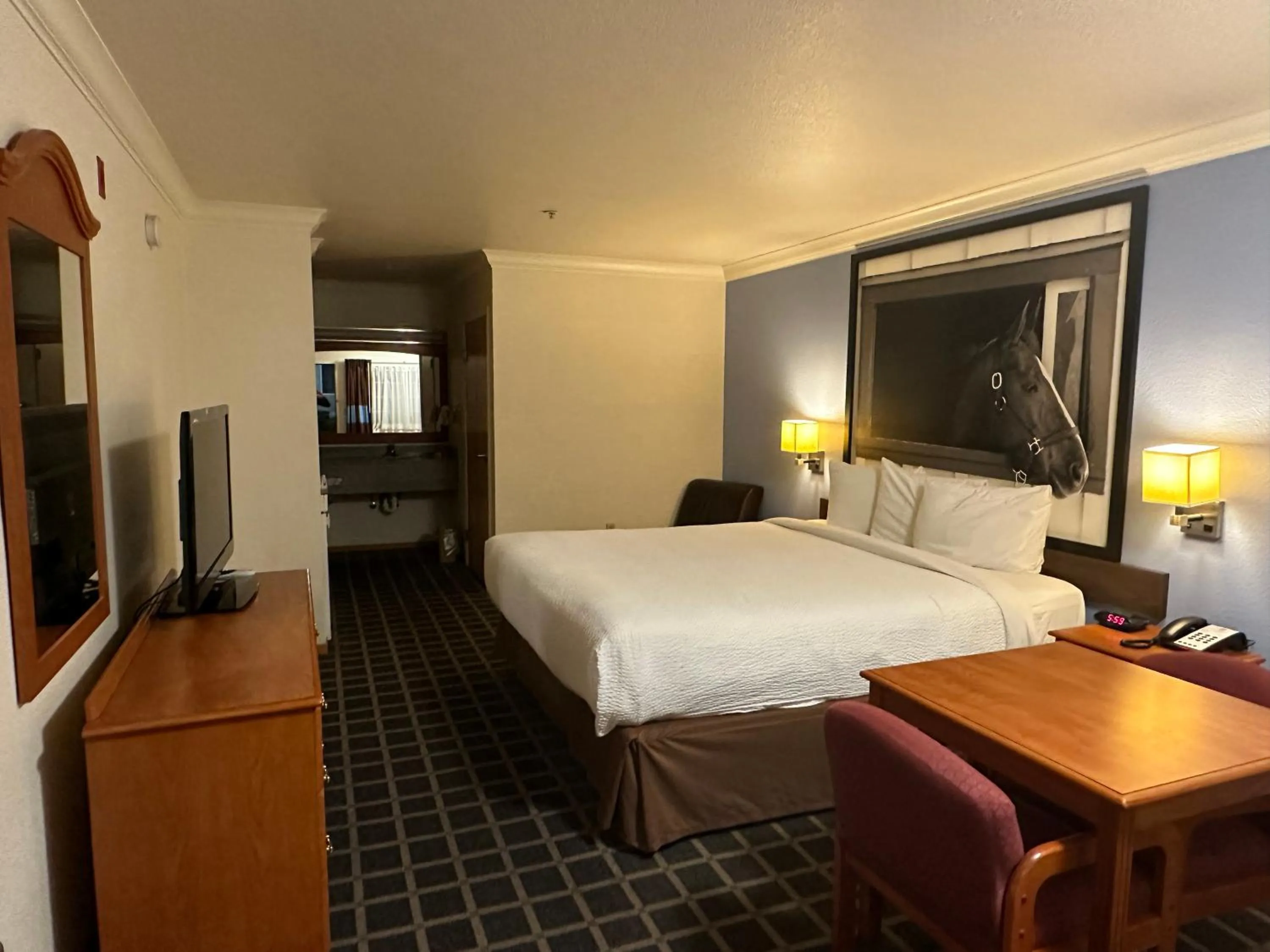 Bed in Super 8 by Wyndham Willits