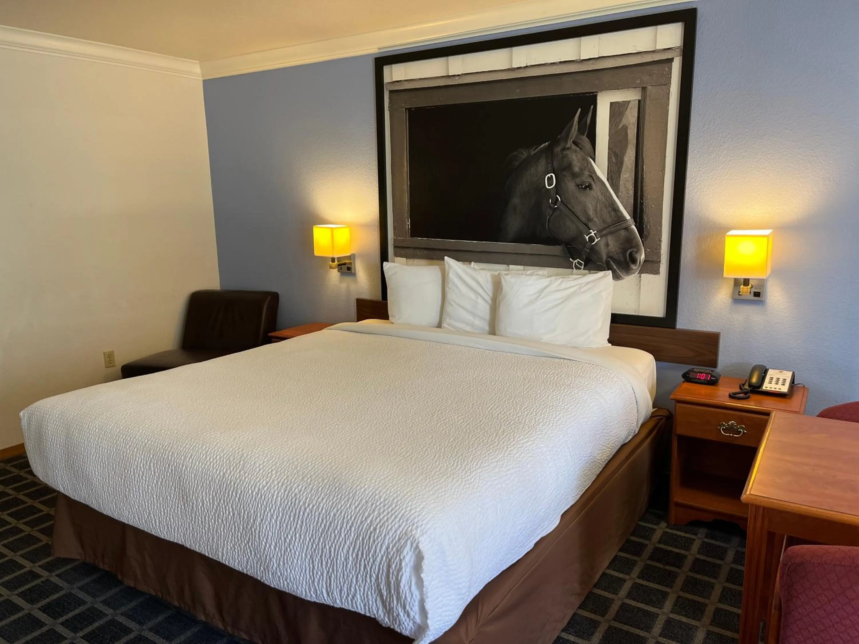 Bed in Super 8 by Wyndham Willits