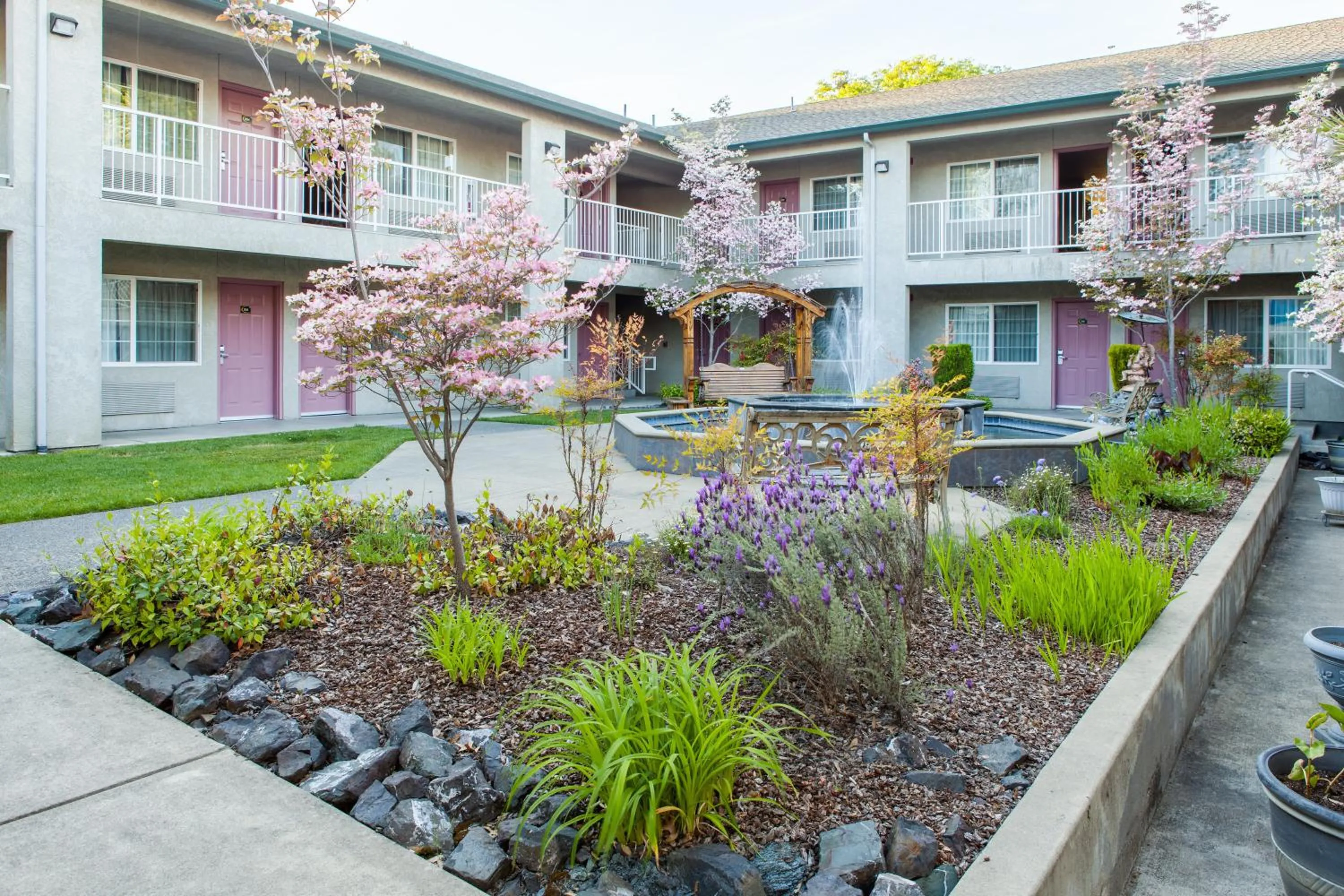 Spring in Creekside Inn & Suites