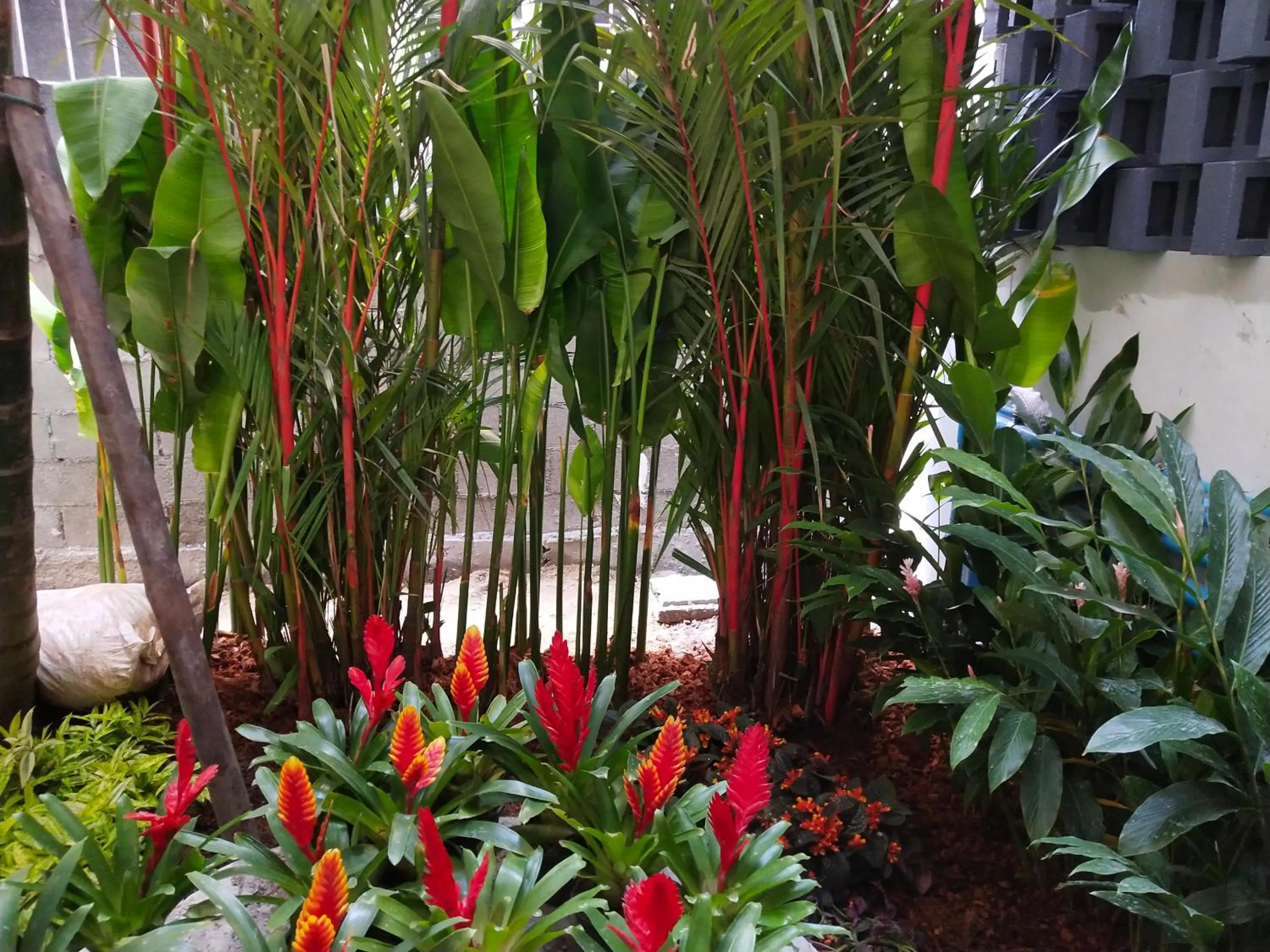 Natural landscape in Hotel De Sripoom