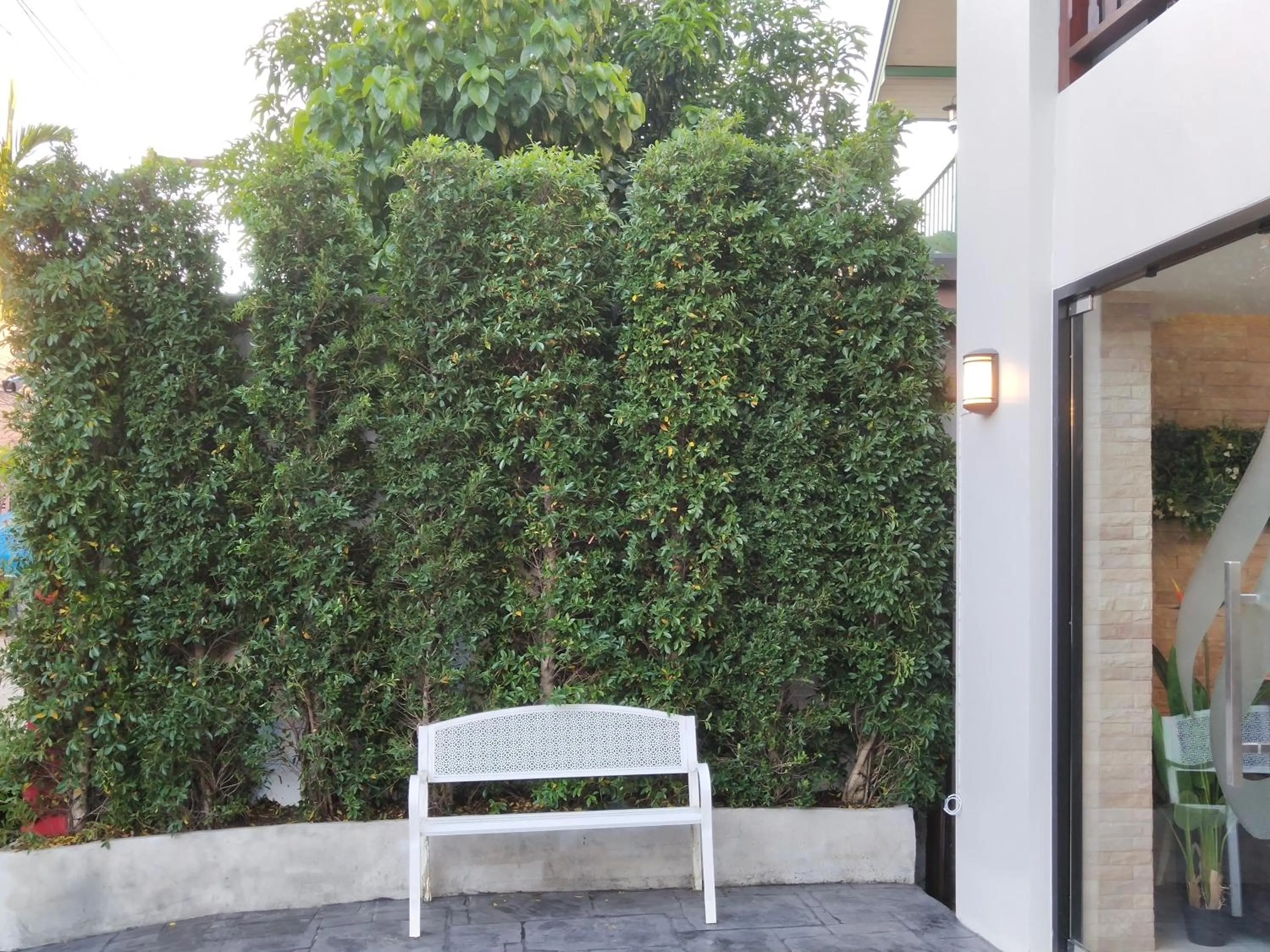 Garden in Hotel De Sripoom