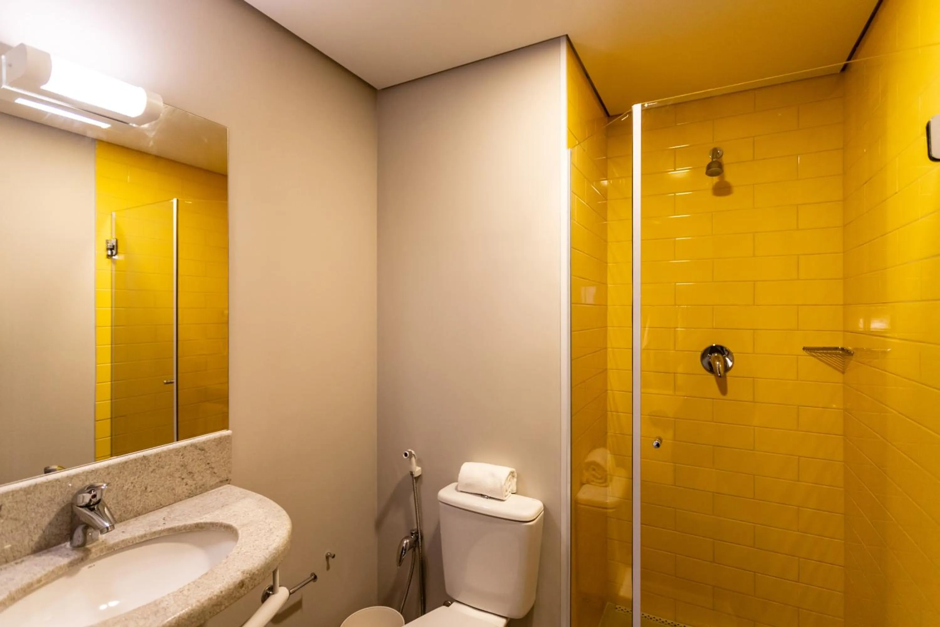 Shower in ibis Palmas Avenida JK