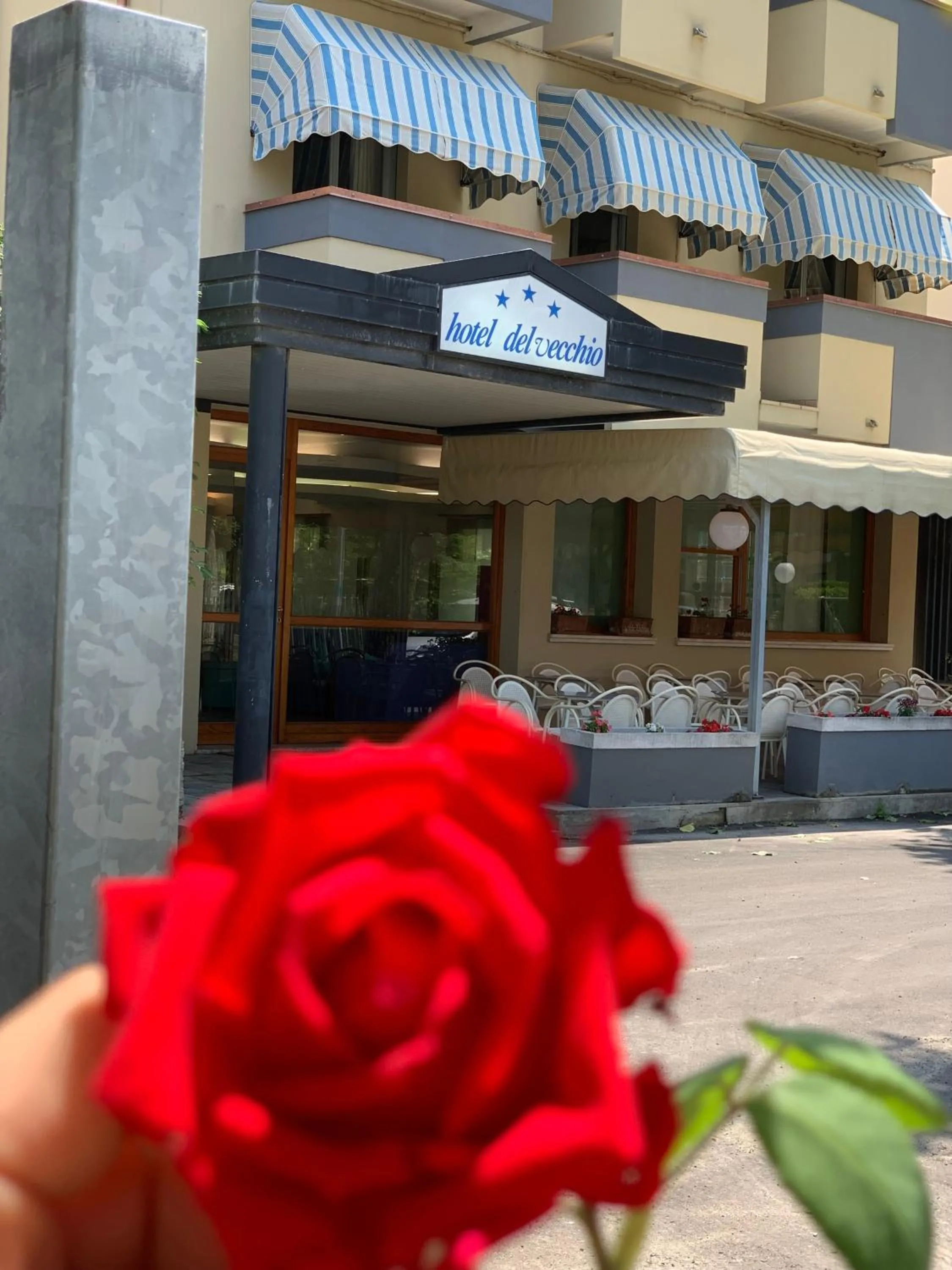 Facade/entrance in Hotel Del Vecchio