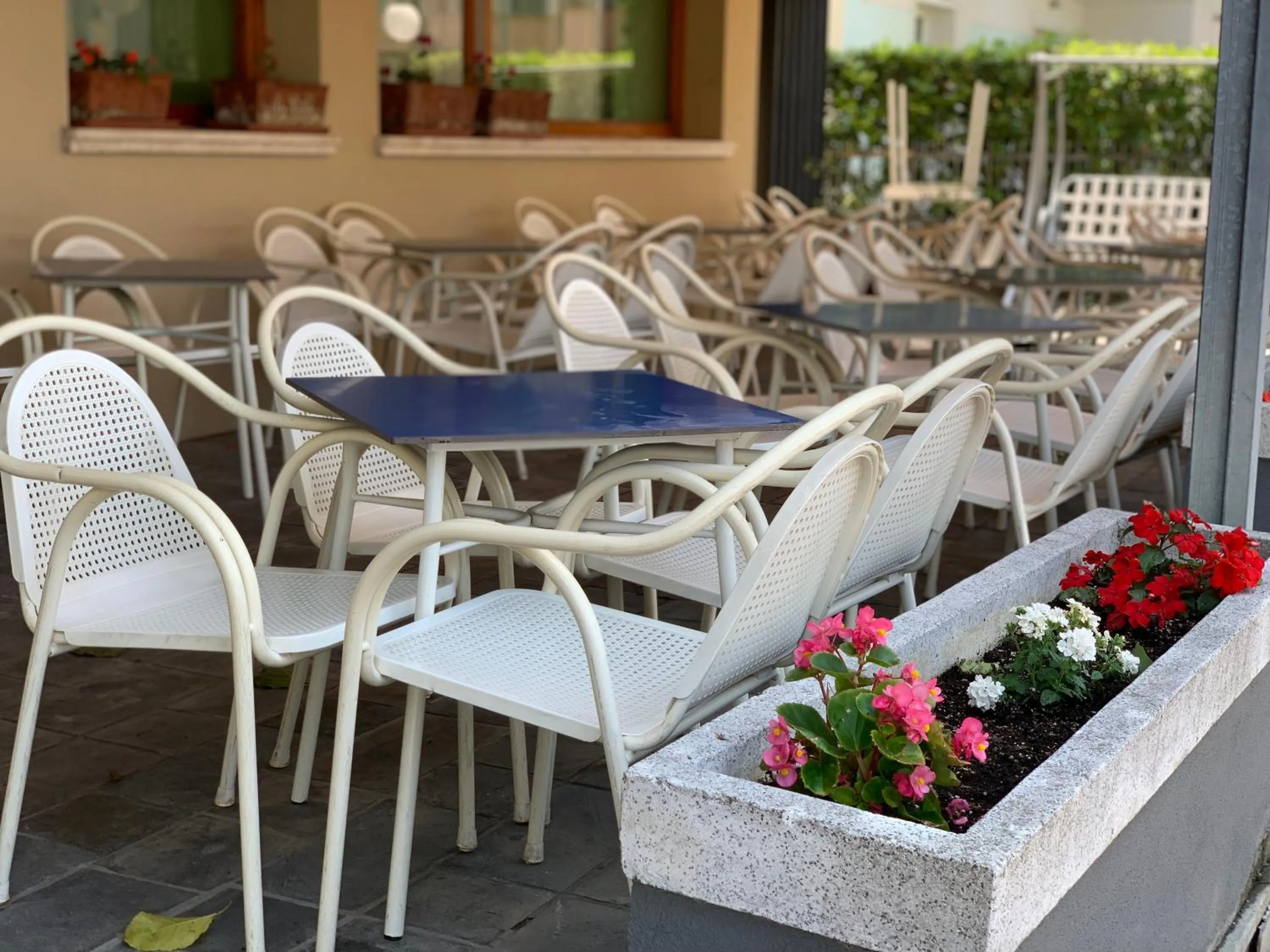 Balcony/Terrace in Hotel Del Vecchio