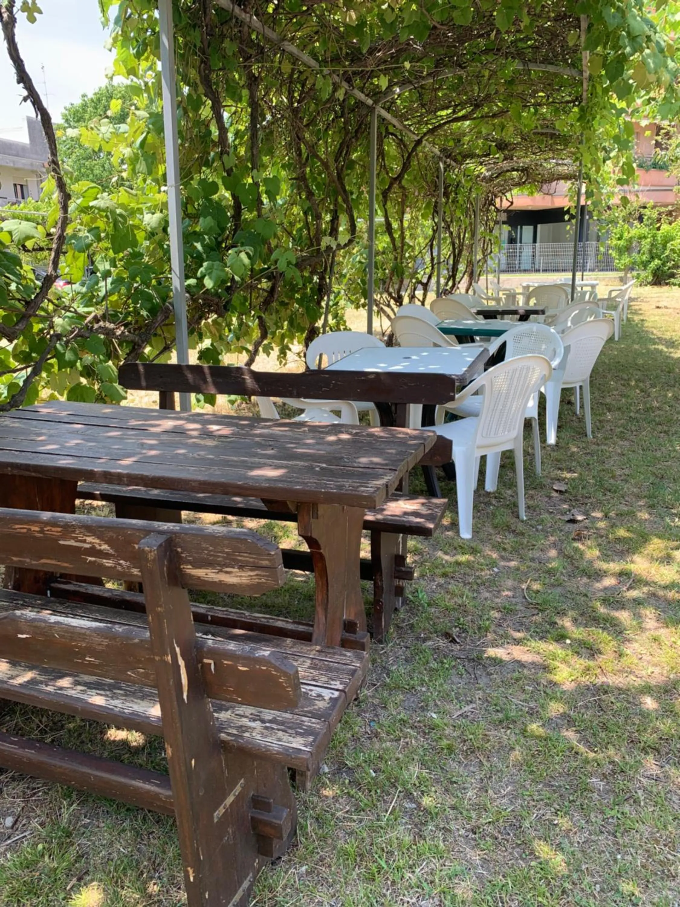 Garden in Hotel Del Vecchio