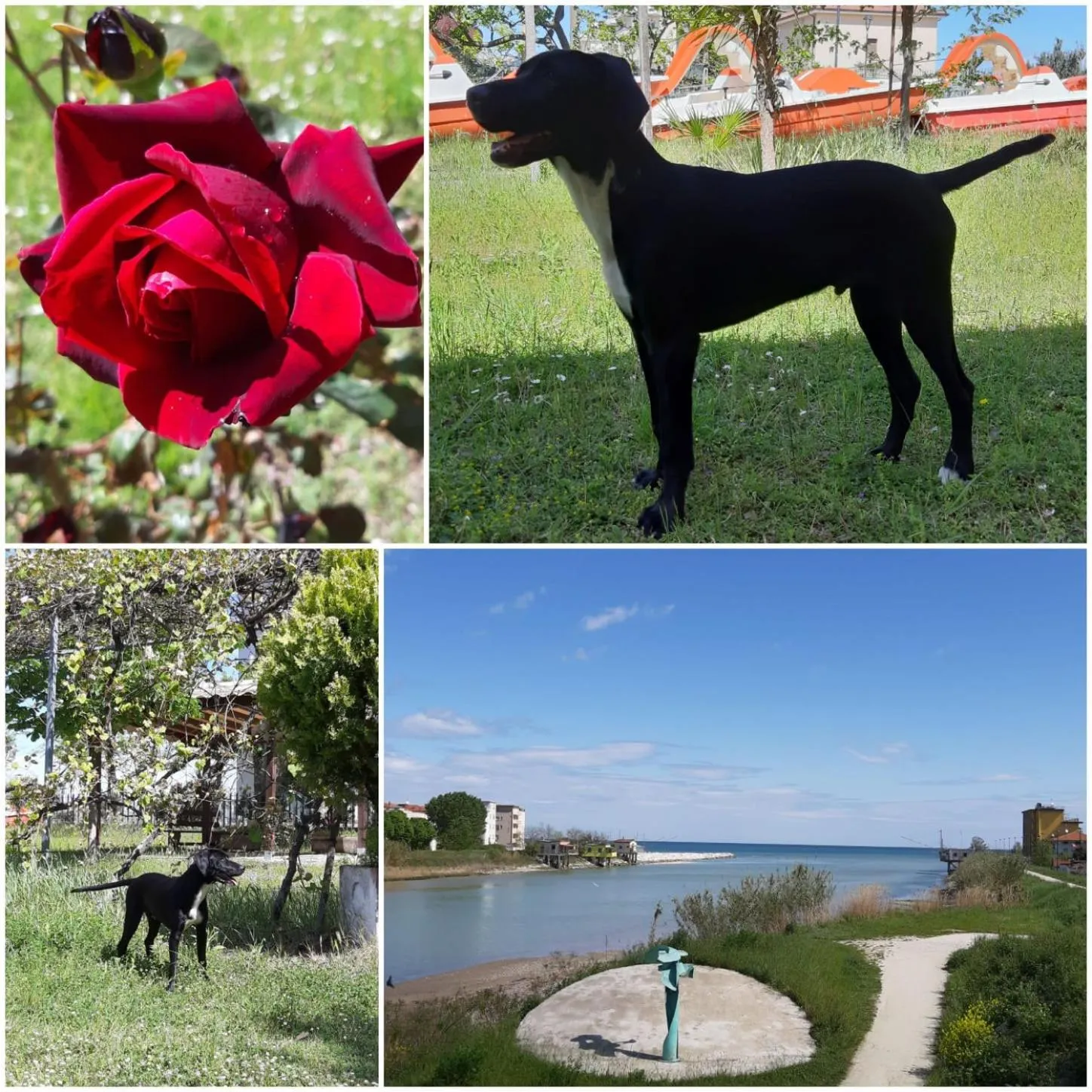 Natural landscape in Hotel Del Vecchio
