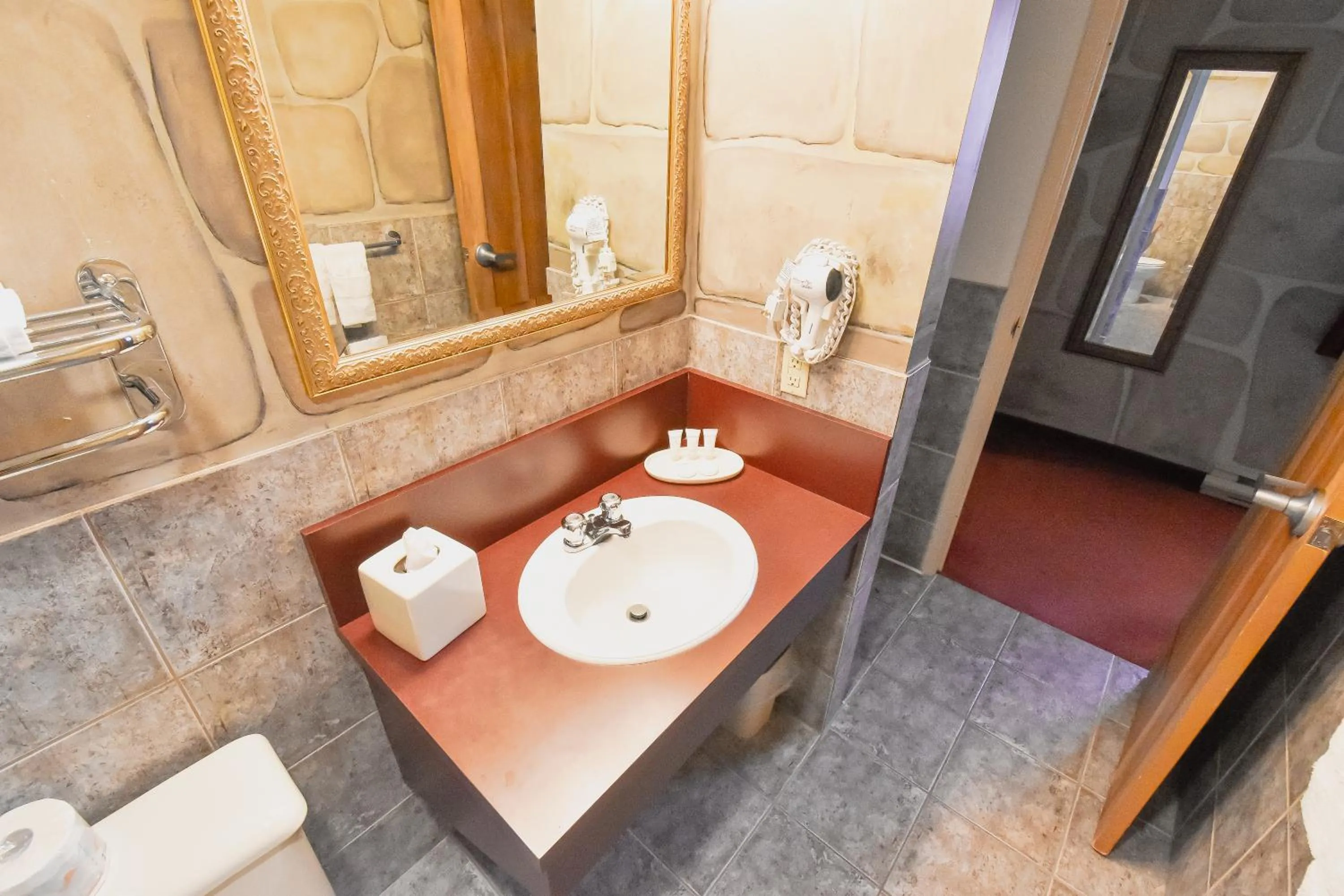 Bathroom in Canad Inns Destination Centre Fort Garry