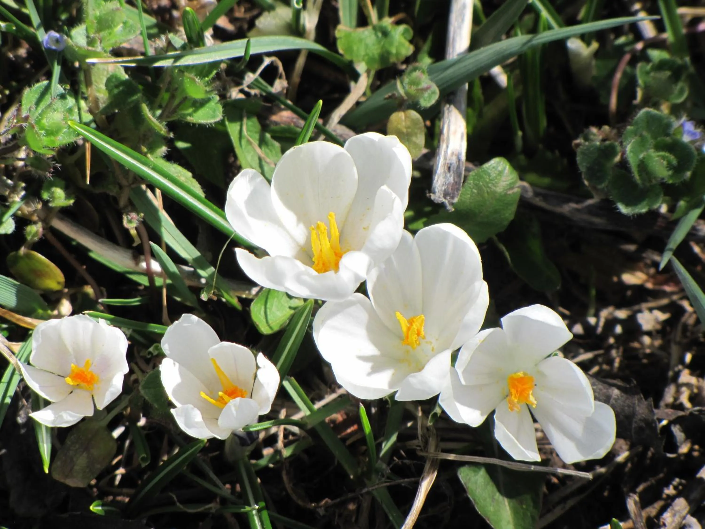 Large Double Room in chambre d'hôtes Paulette et Pépin