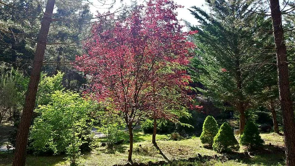 La cabaña del lago en ZAFIRO LAGUNAZO Parque Natural del Río Mundo