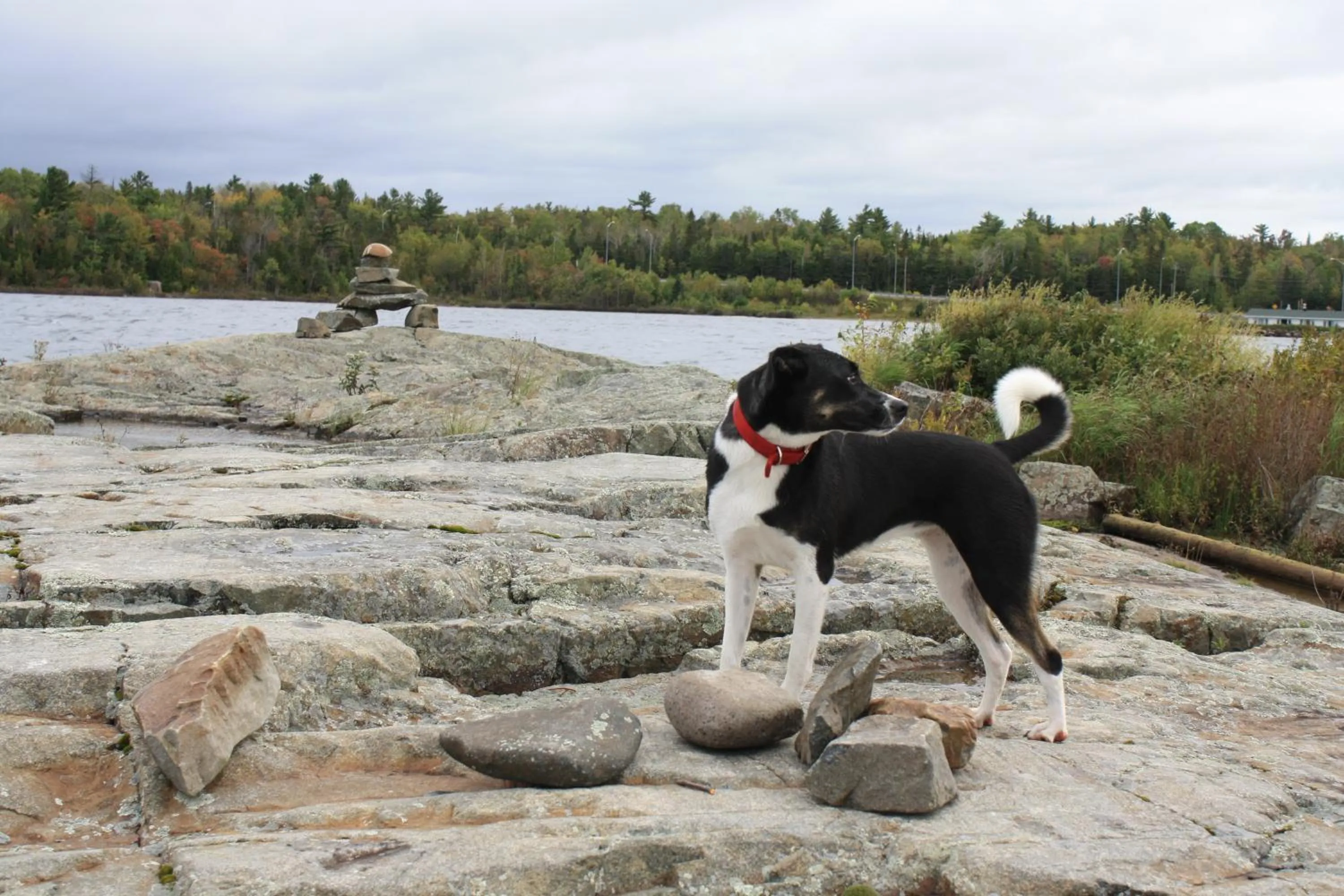On site in Carolyn Beach Inn