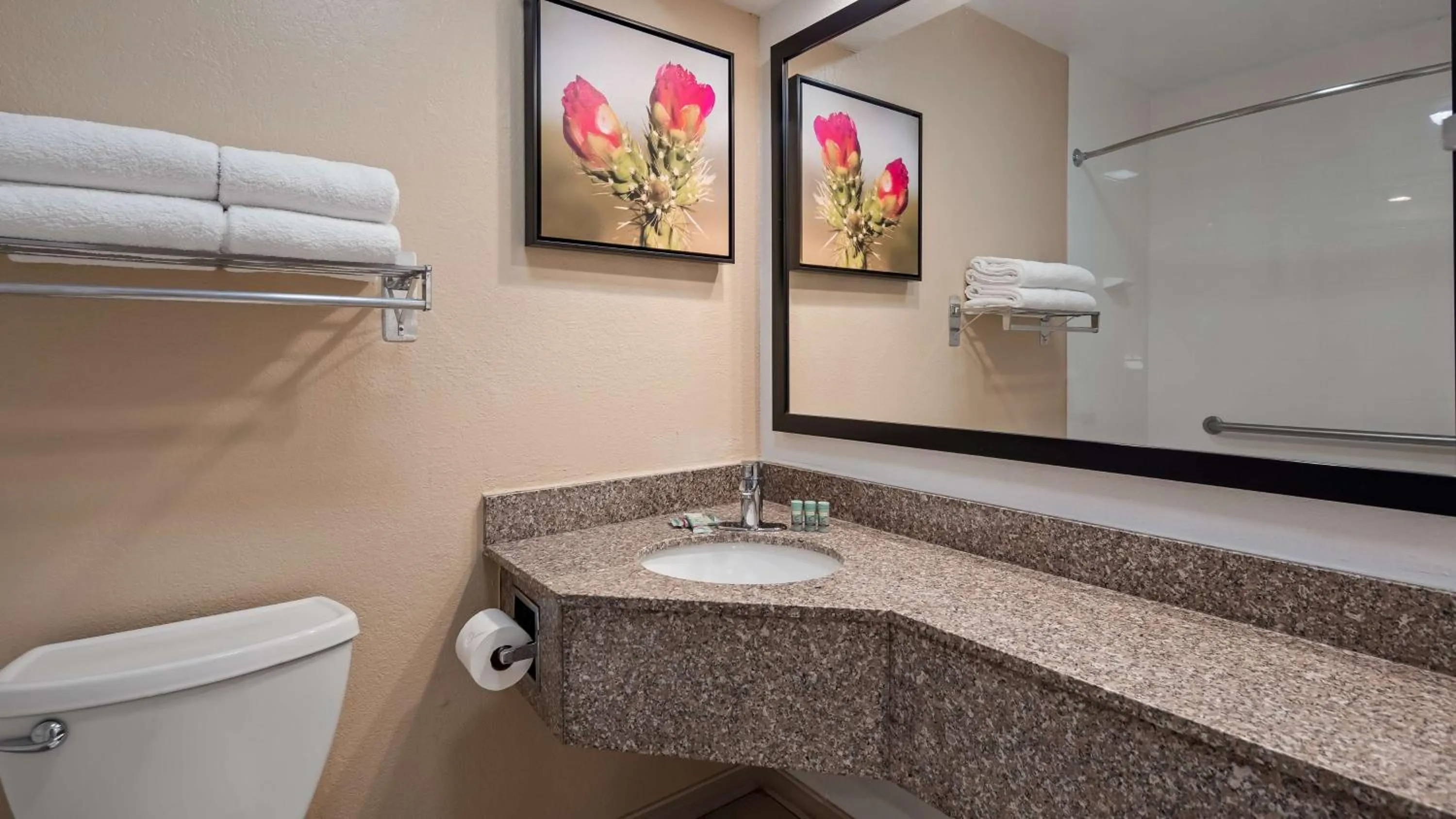 Bathroom in Best Western Santa Rosa Inn