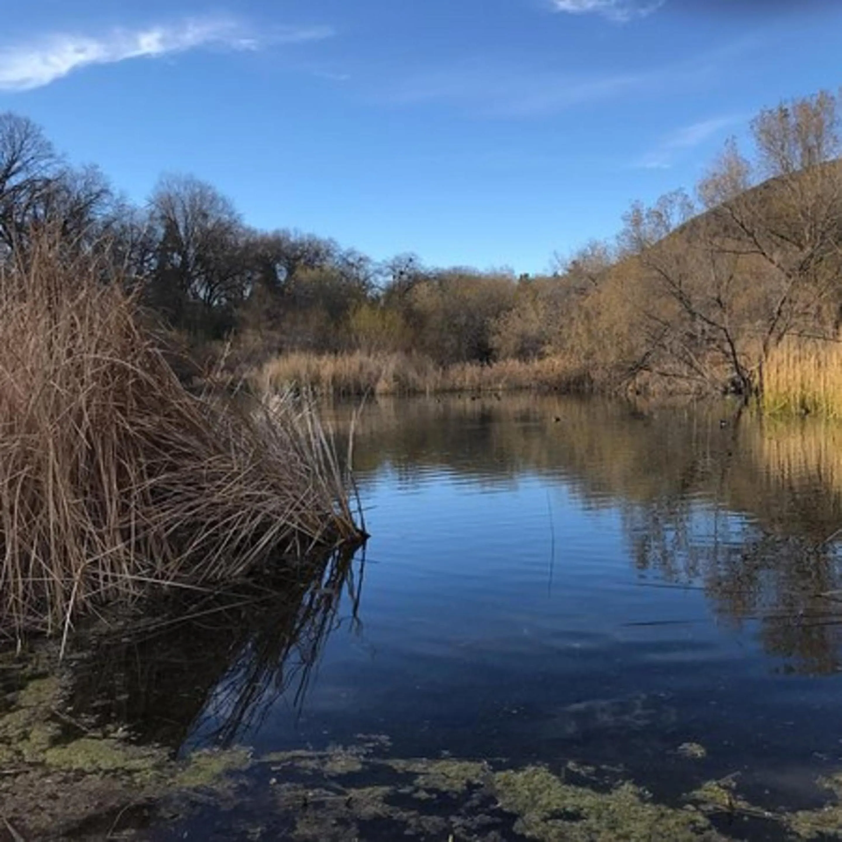 Nearby landmark in Motel 6 Las Vegas NV Downtown Fremont St