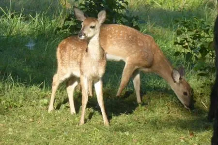 Other in Mulberry Lavender Farm and B&B