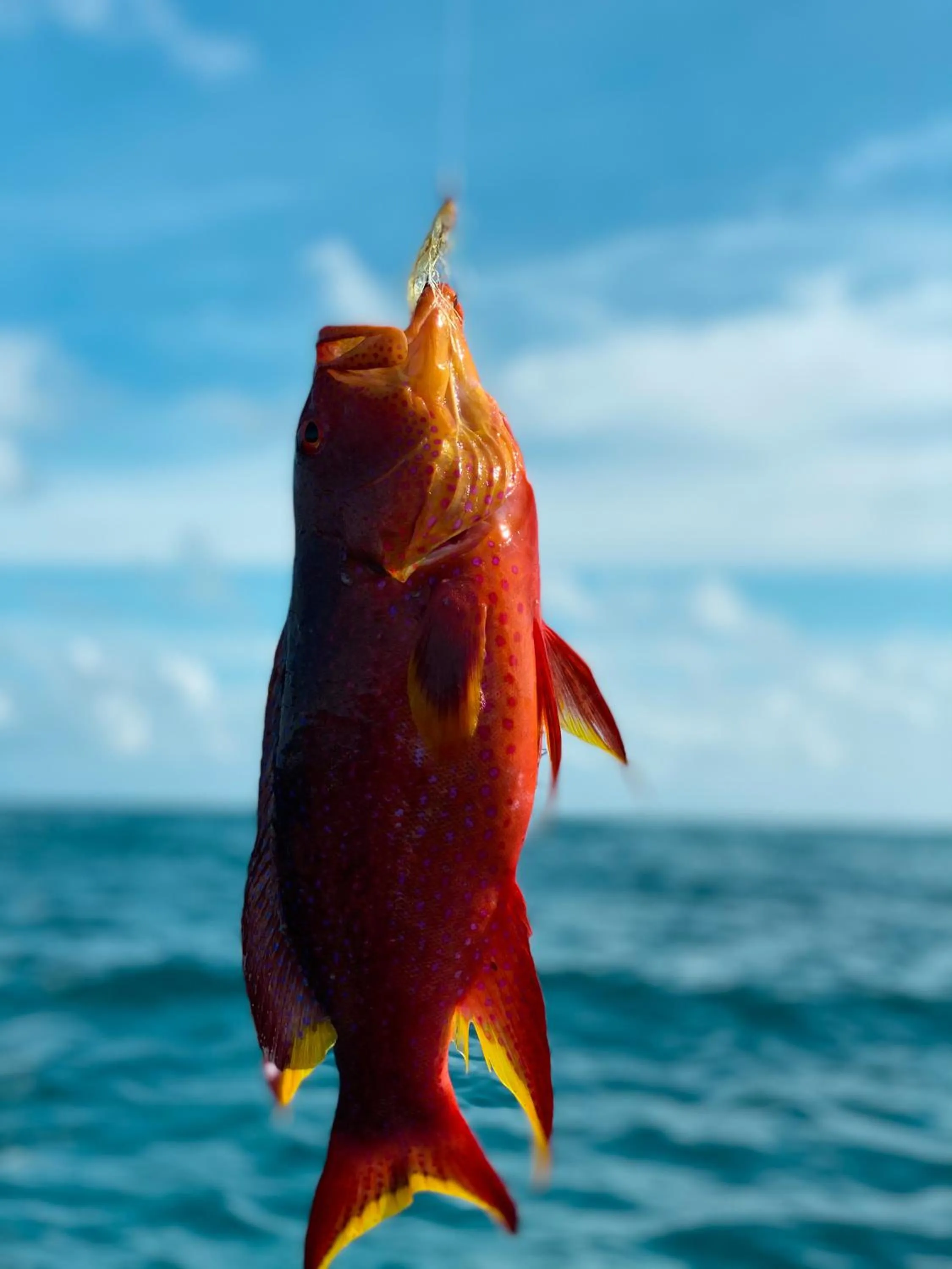 Activities in PERLA Dhangethi