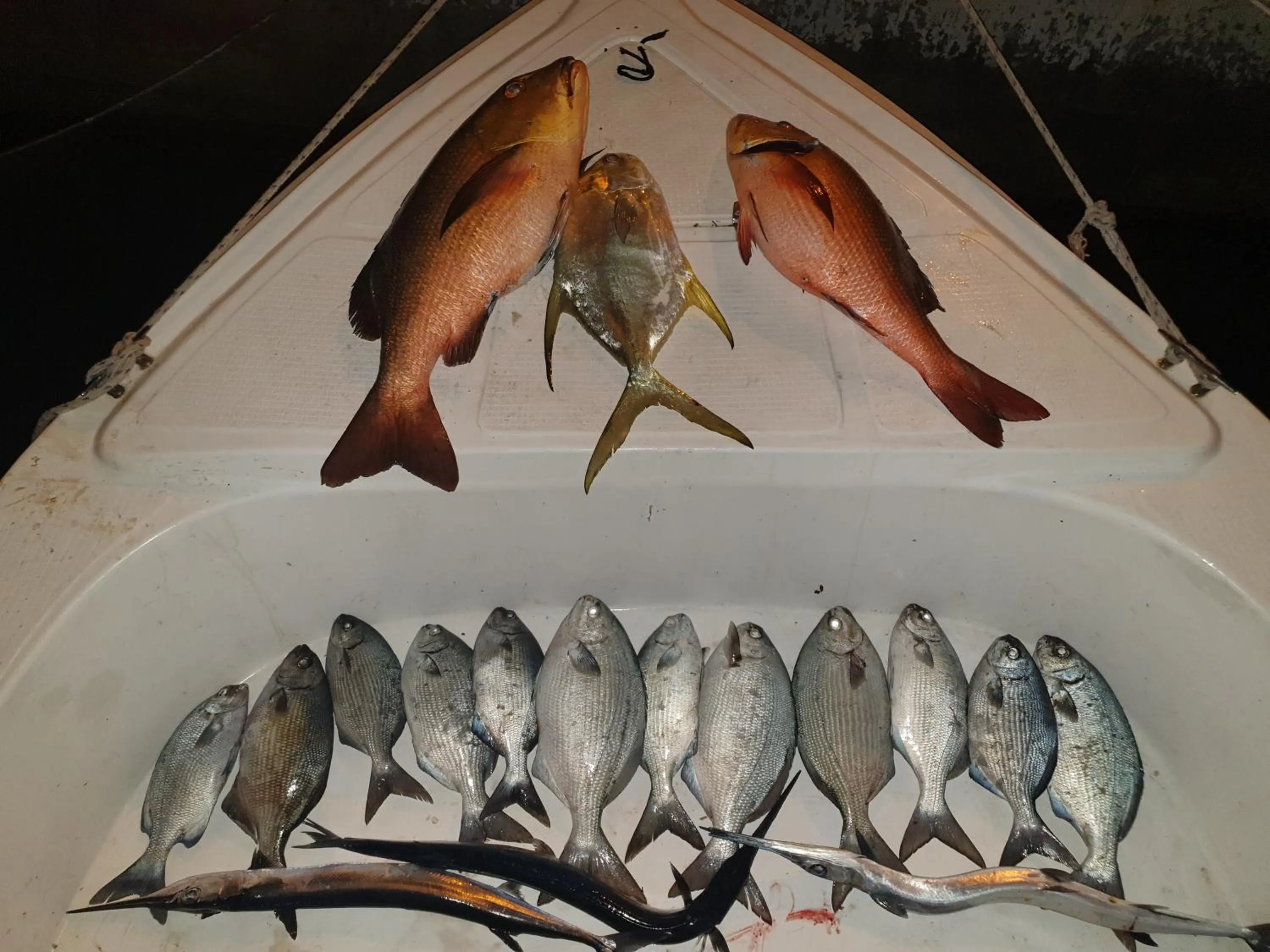 Fishing in PERLA Dhangethi