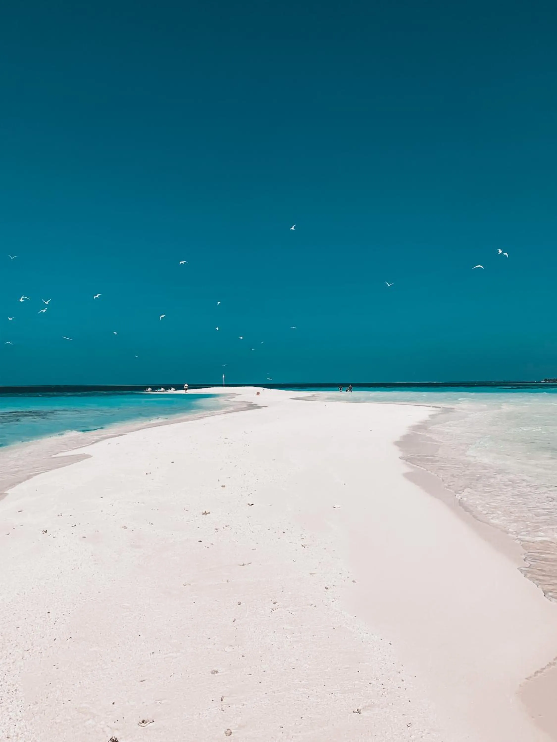 Natural landscape in PERLA Dhangethi