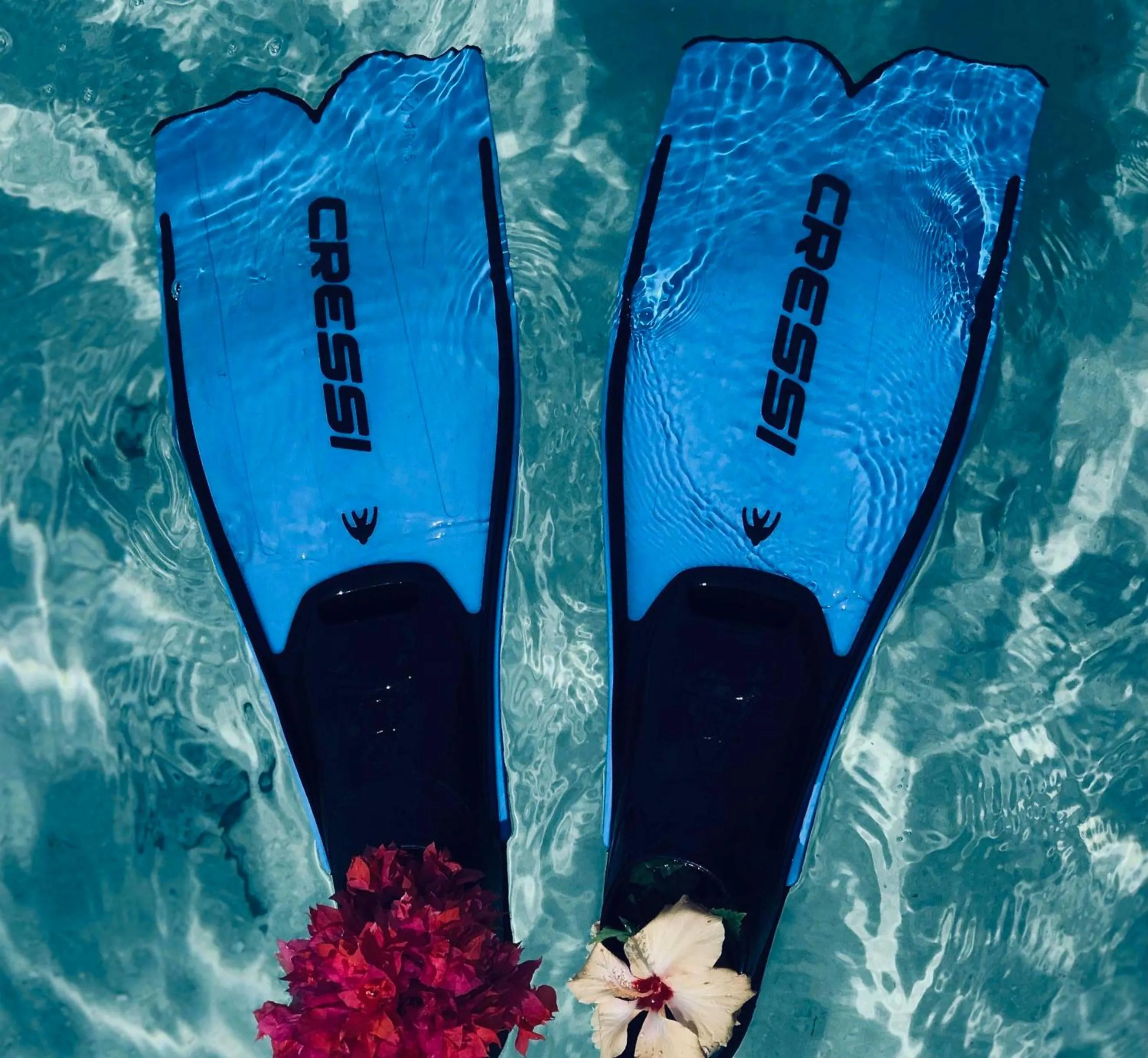 Snorkeling in PERLA Dhangethi