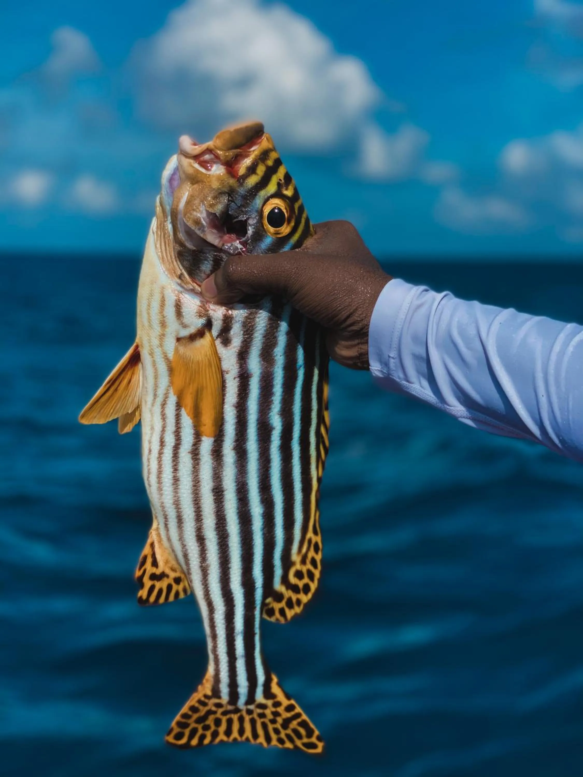 Activities in PERLA Dhangethi