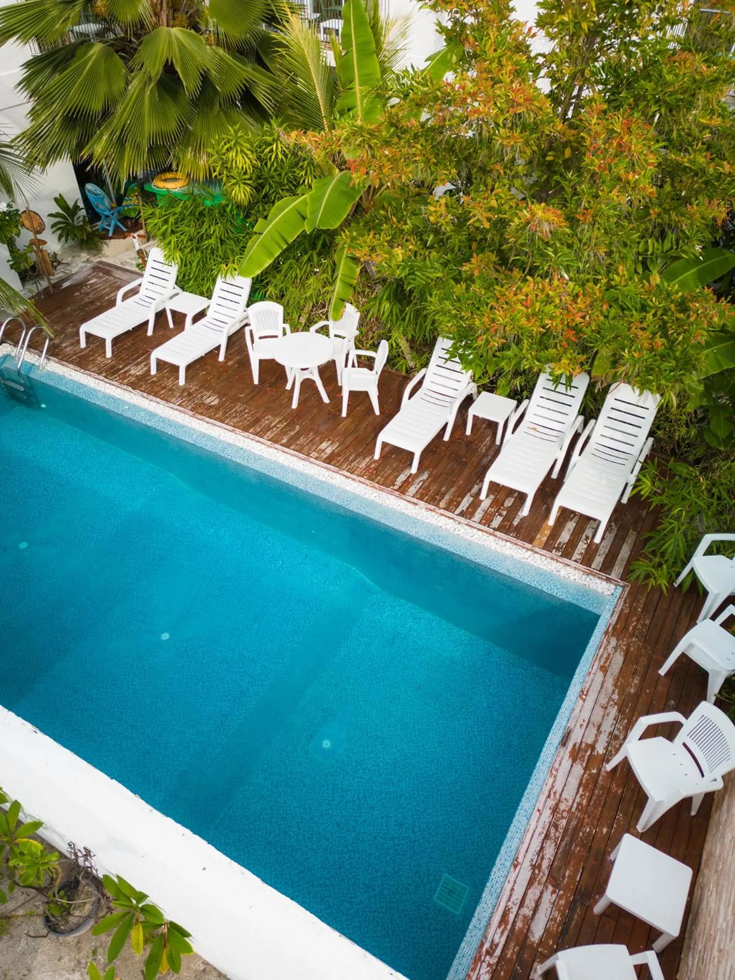 Swimming pool in PERLA Dhangethi