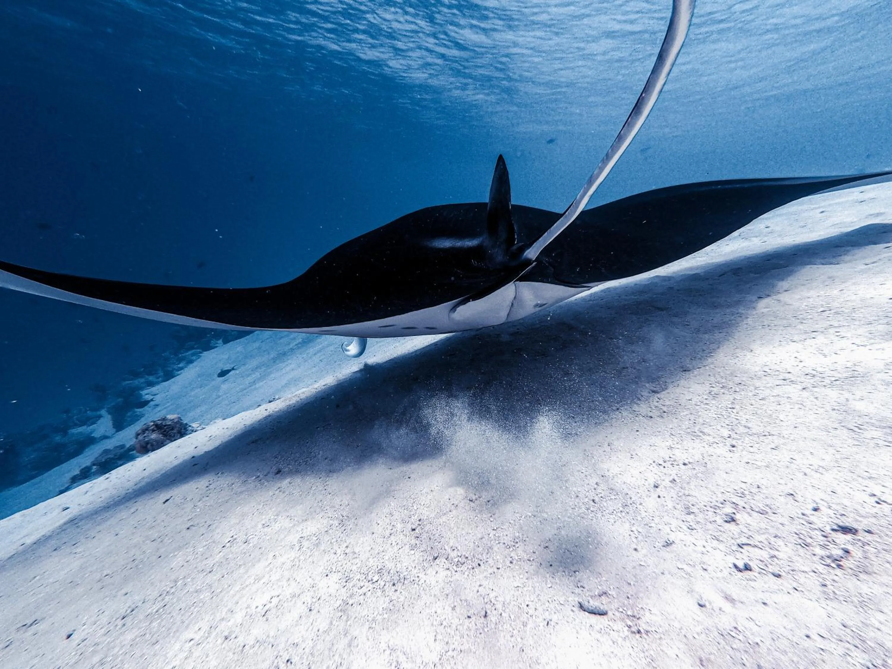 Activities in PERLA Dhangethi