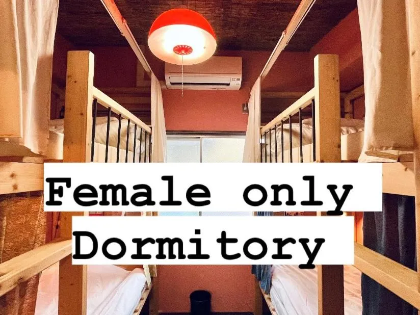 Mad Cat Hostel Osaka & Bar